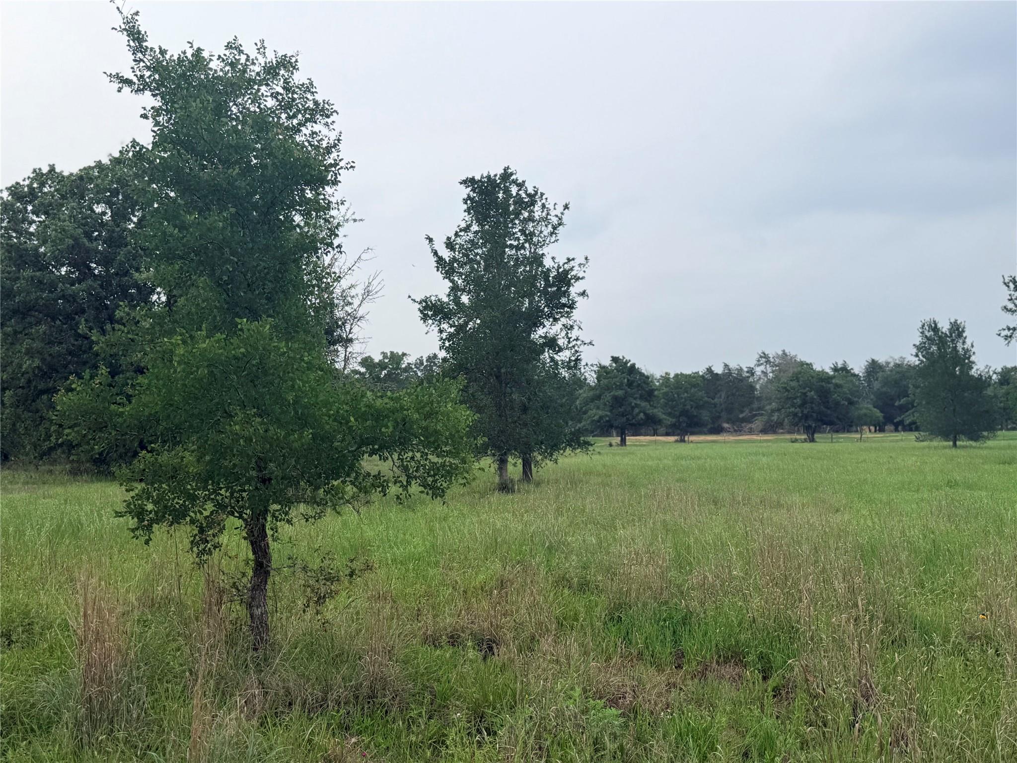 1766 Fm 2104, Paige, TX 78659