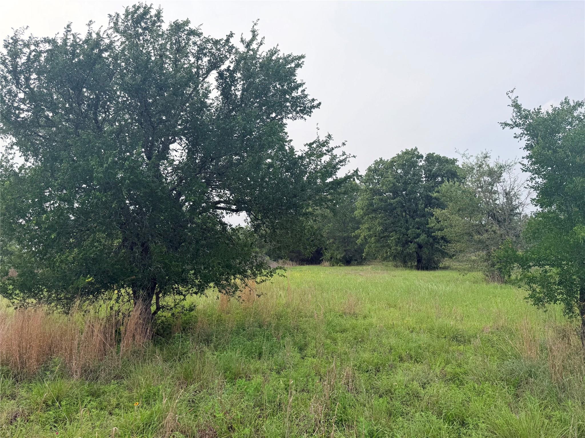 1766 Fm 2104, Paige, TX 78659