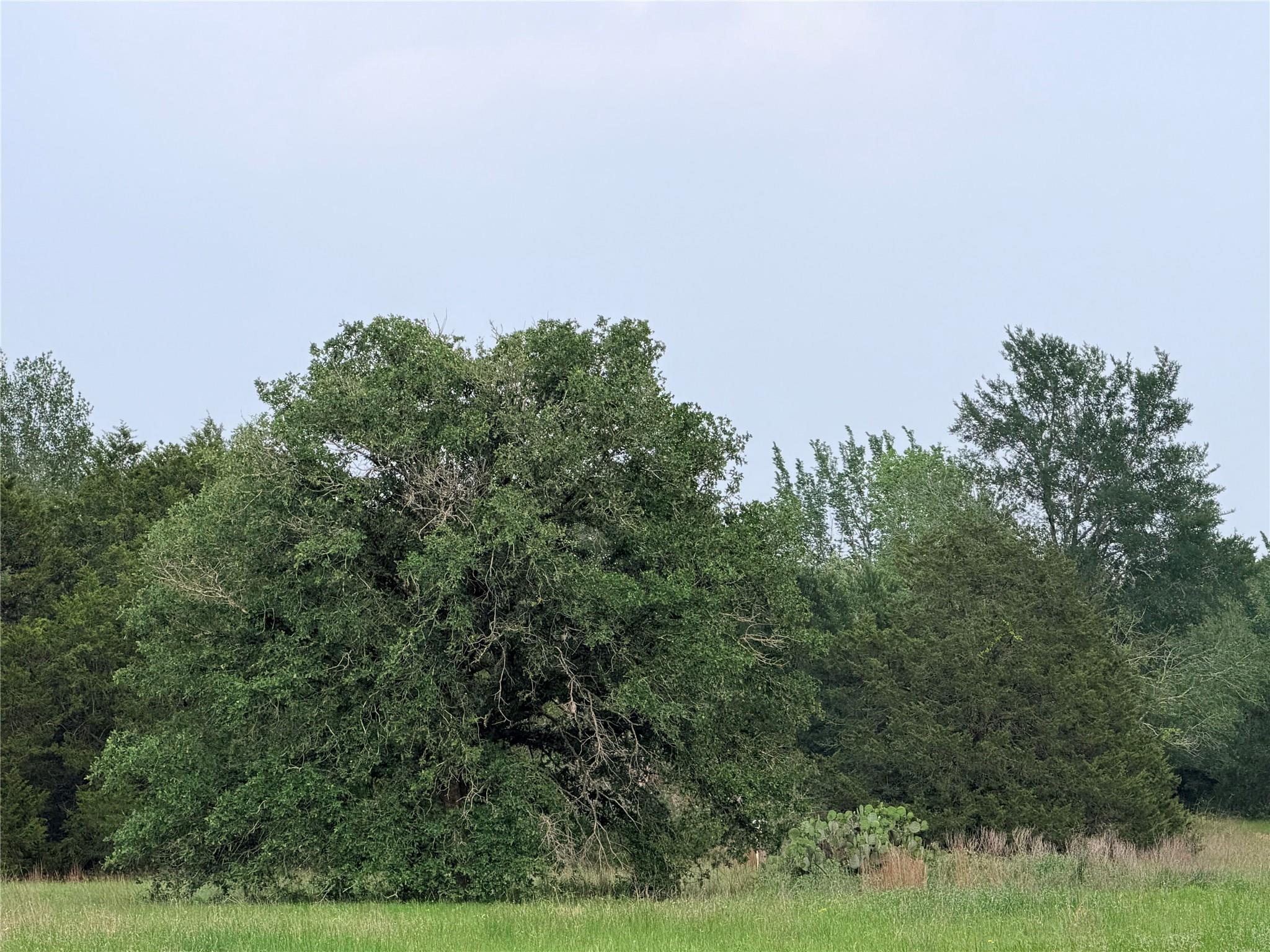 1766 Fm 2104, Paige, TX 78659