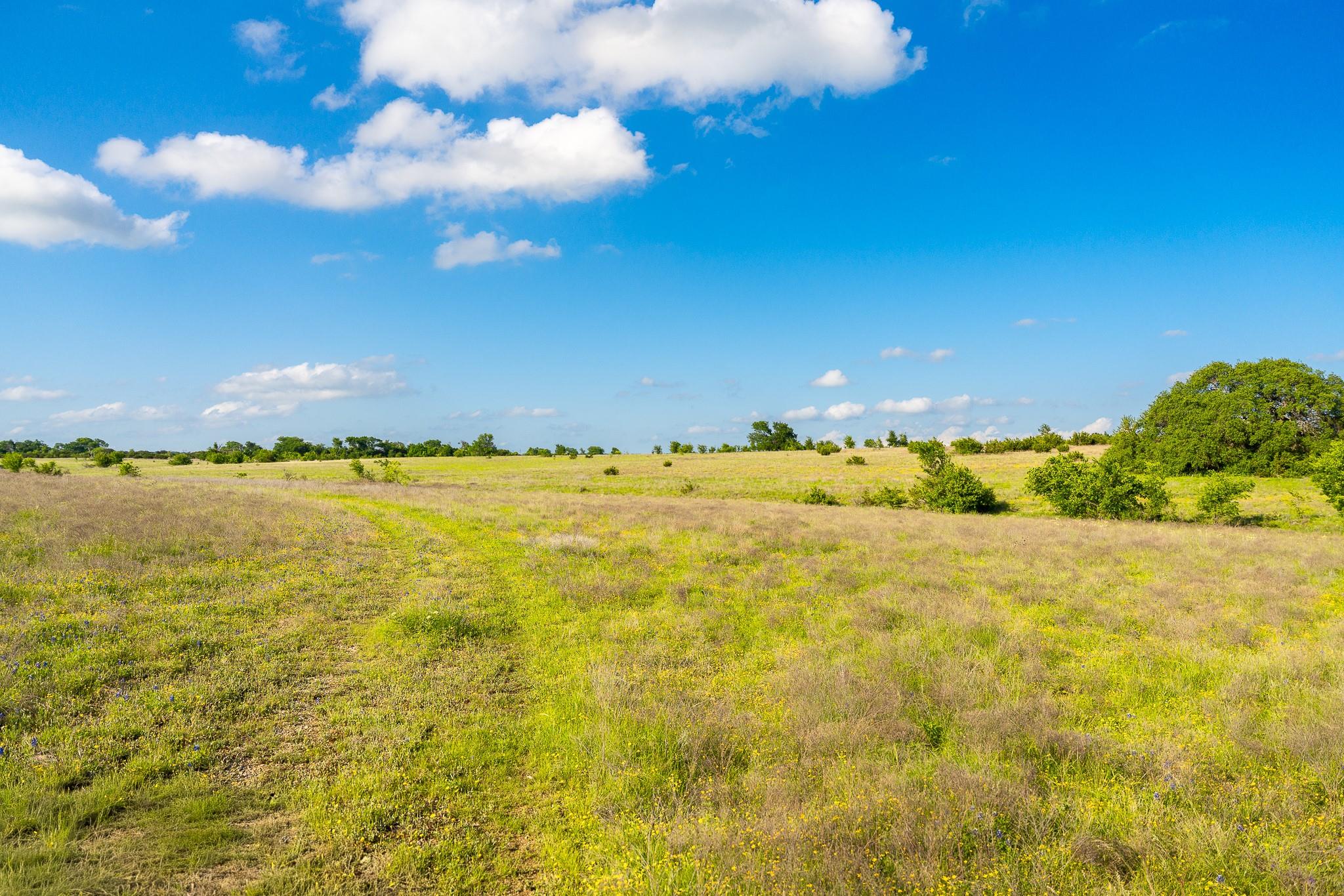5950 Moccasin Bend Rd, Gatesville, TX 76528