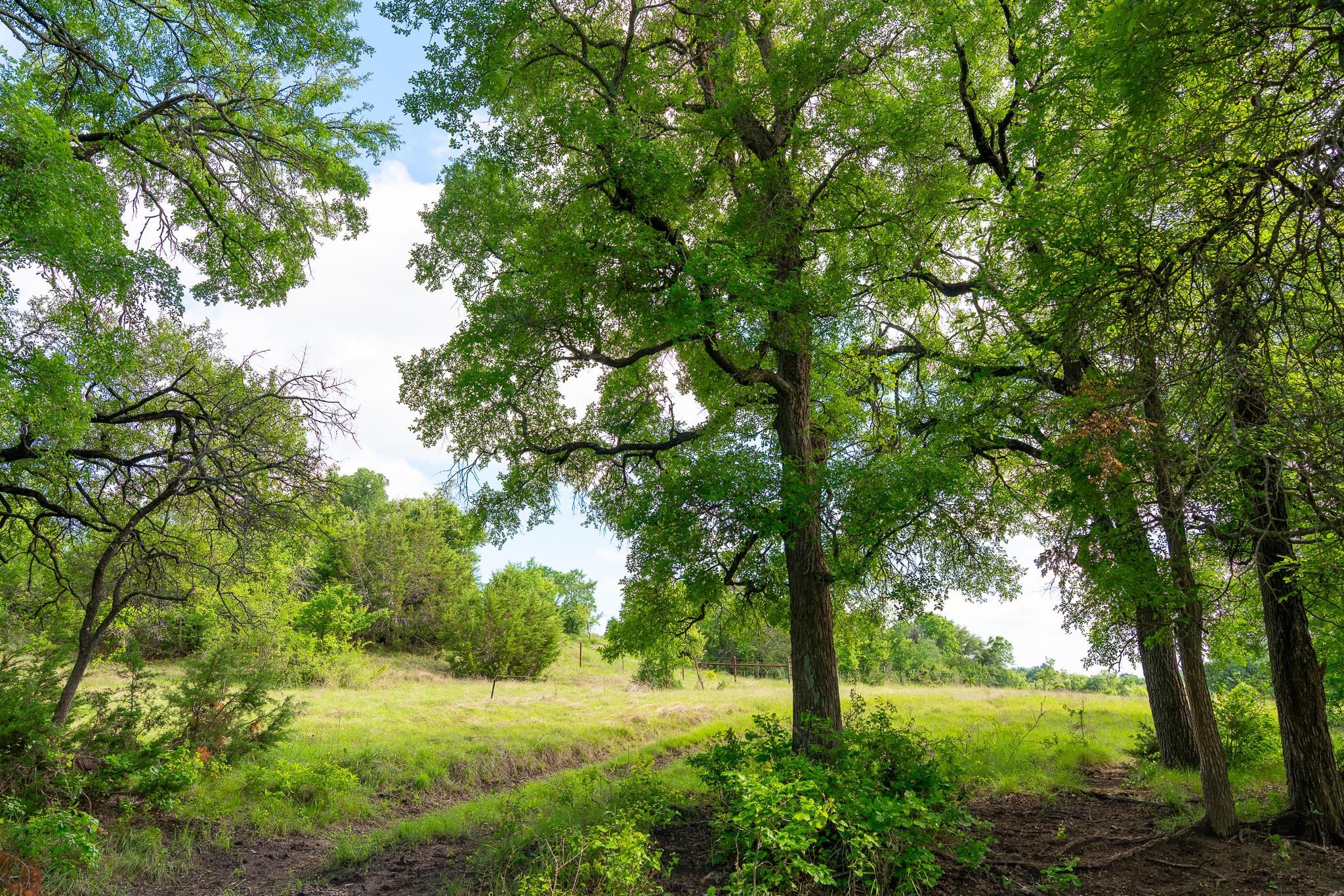 5950 Moccasin Bend Rd, Gatesville, TX 76528