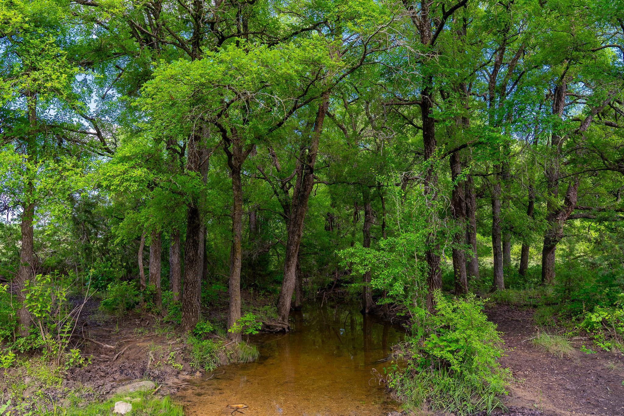 5950 Moccasin Bend Rd, Gatesville, TX 76528