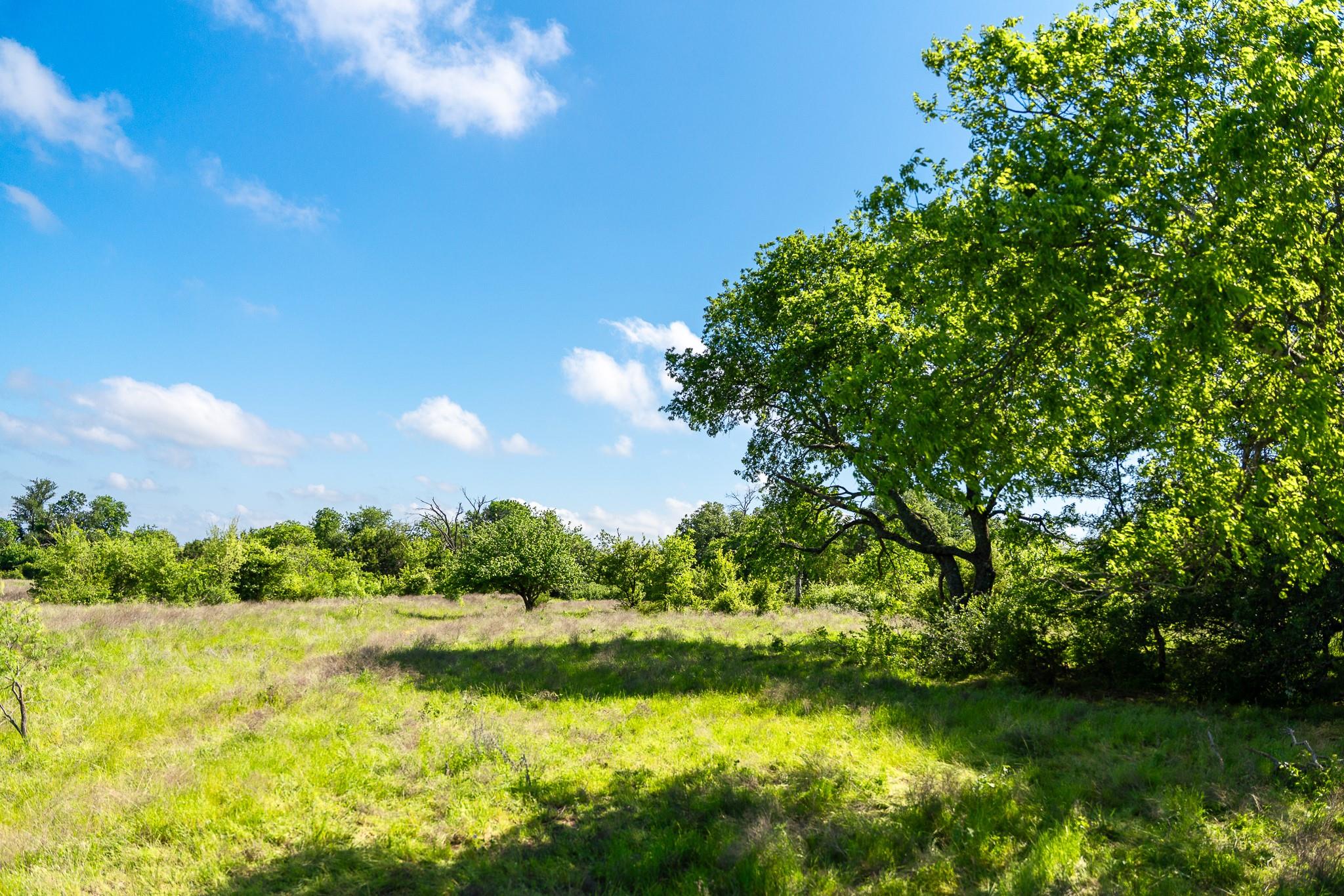 5950 Moccasin Bend Rd, Gatesville, TX 76528