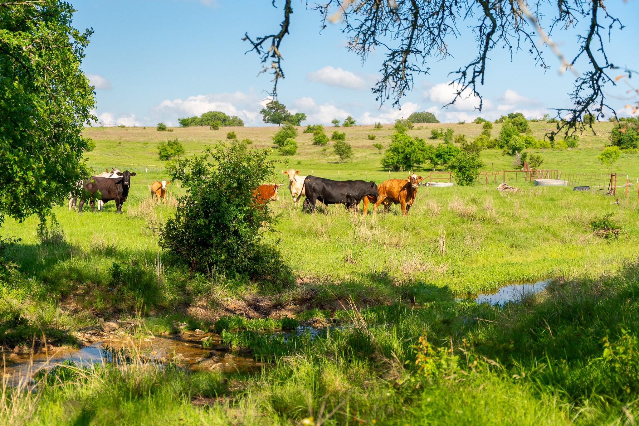 5950 Moccasin Bend Rd, Gatesville, TX 76528