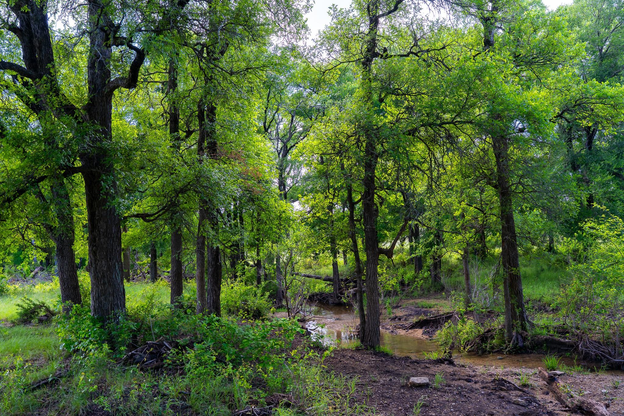 5950 Moccasin Bend Rd, Gatesville, TX 76528