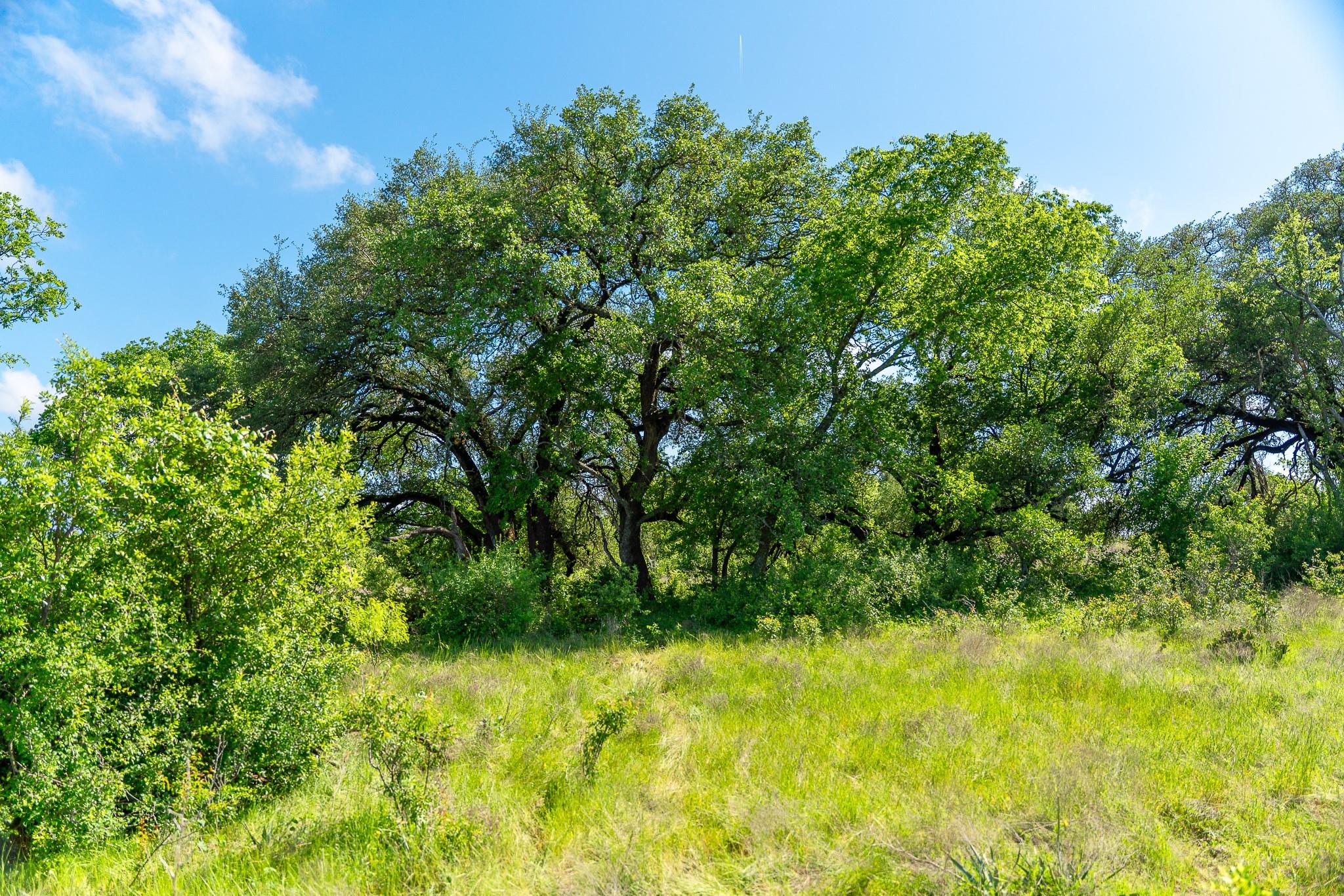 5950 Moccasin Bend Rd, Gatesville, TX 76528