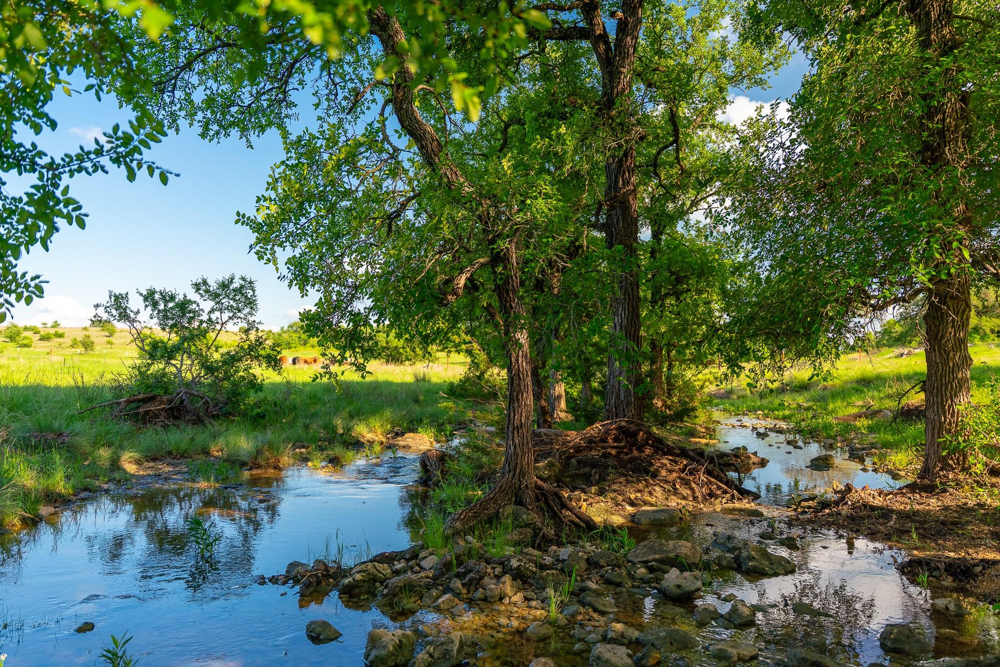 5950 Moccasin Bend Rd, Gatesville, TX 76528