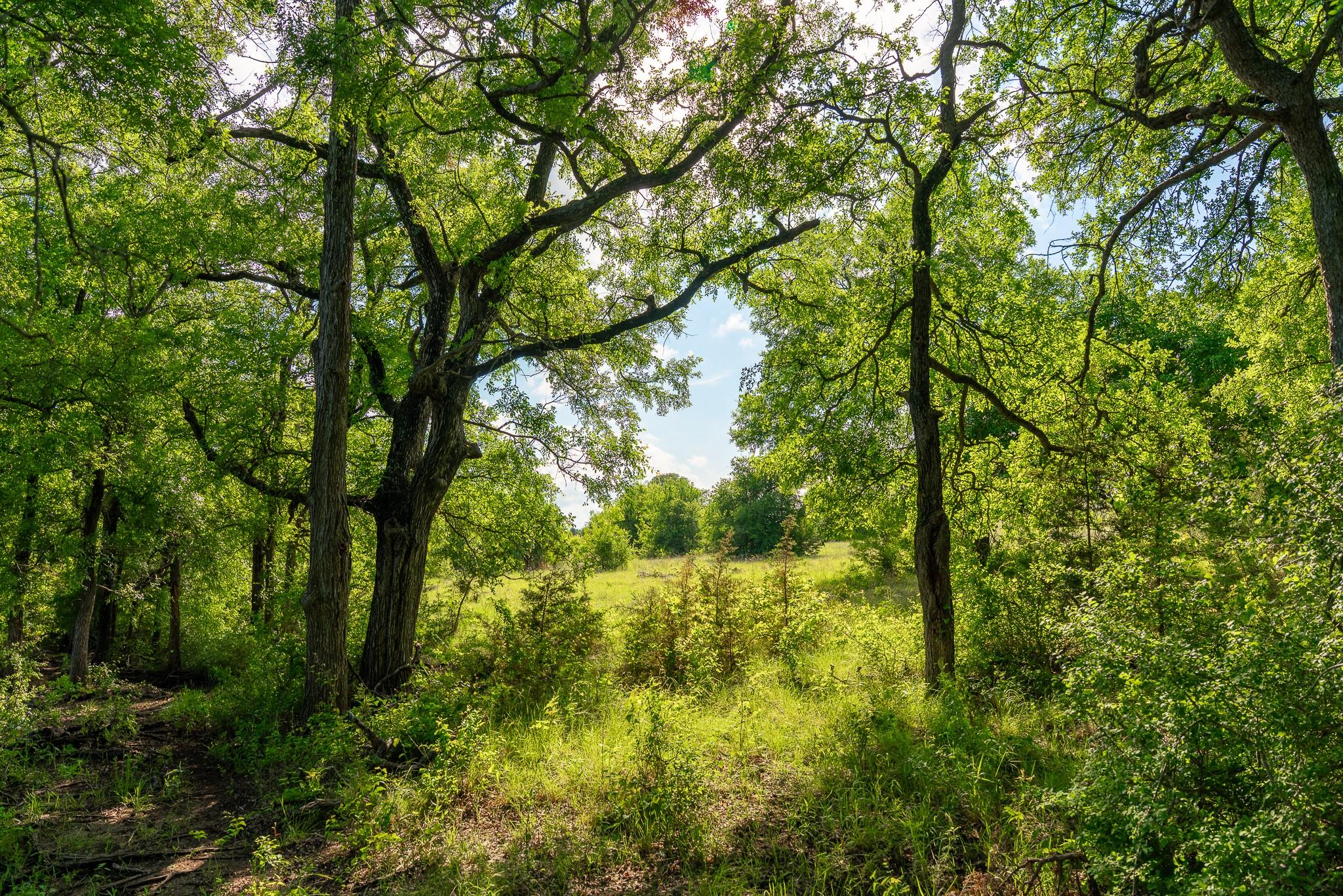 5950 Moccasin Bend Rd, Gatesville, TX 76528