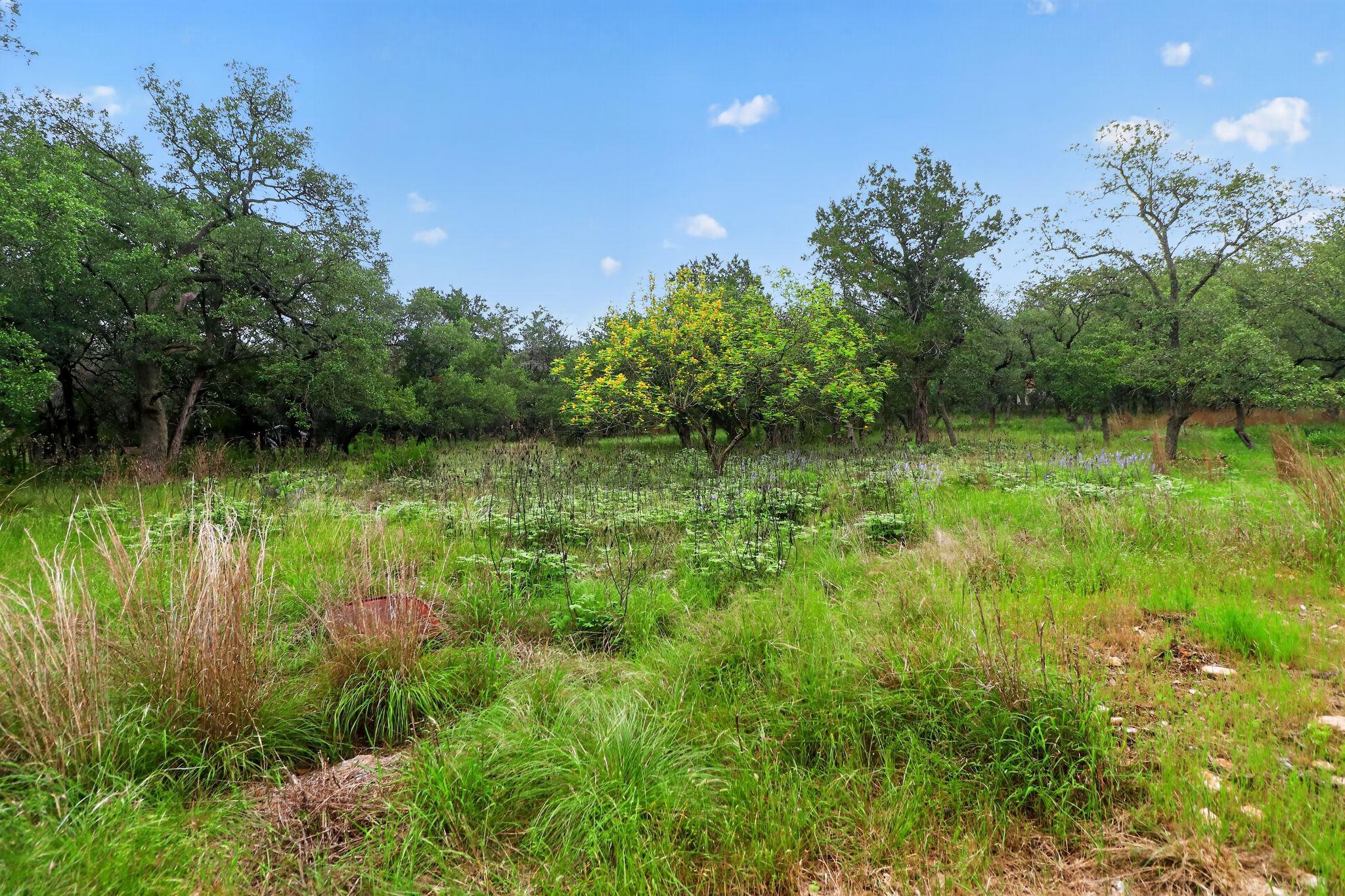 128 Mockingbird Ln, Georgetown, TX 78633