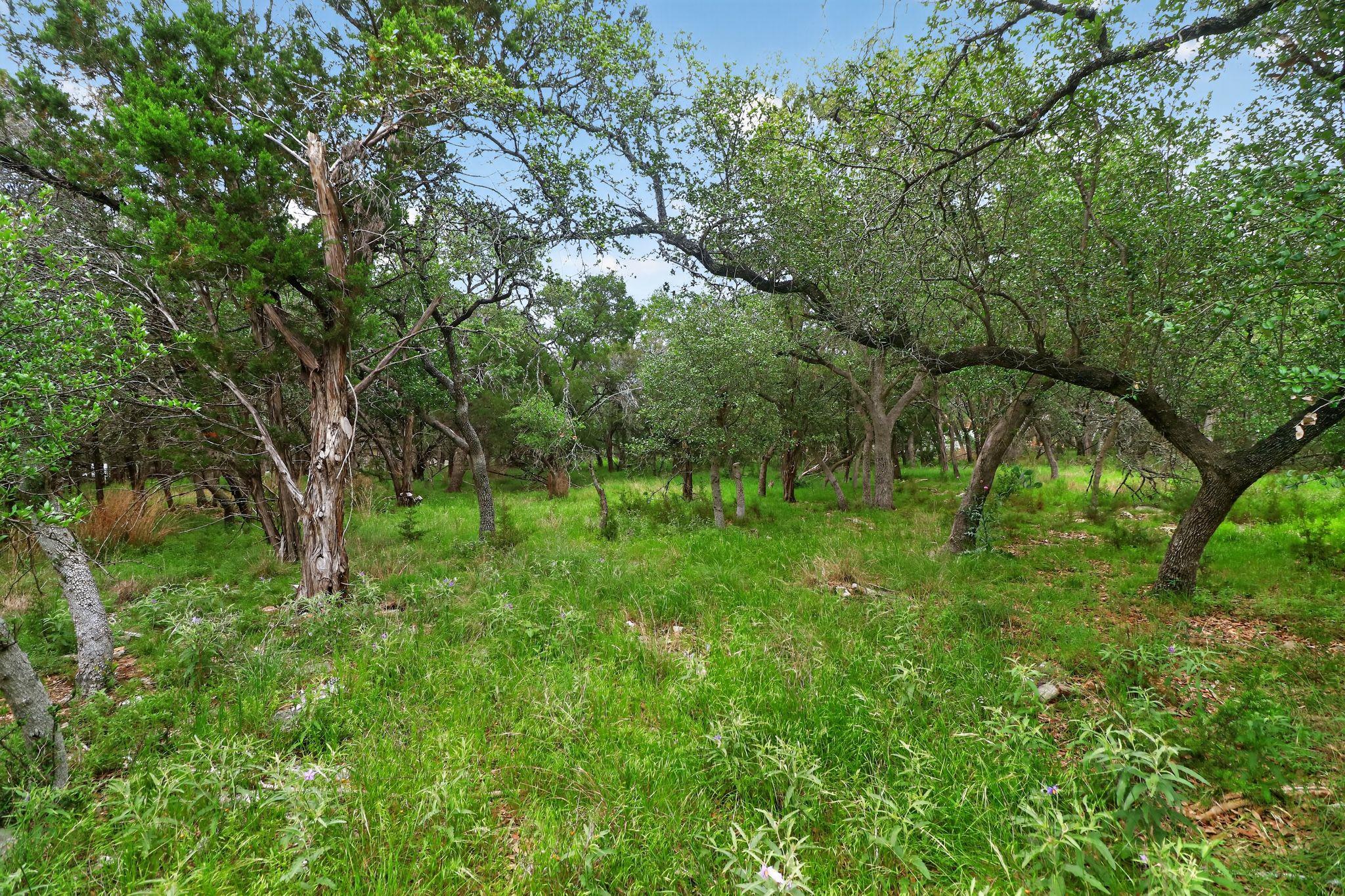 128 Mockingbird Ln, Georgetown, TX 78633