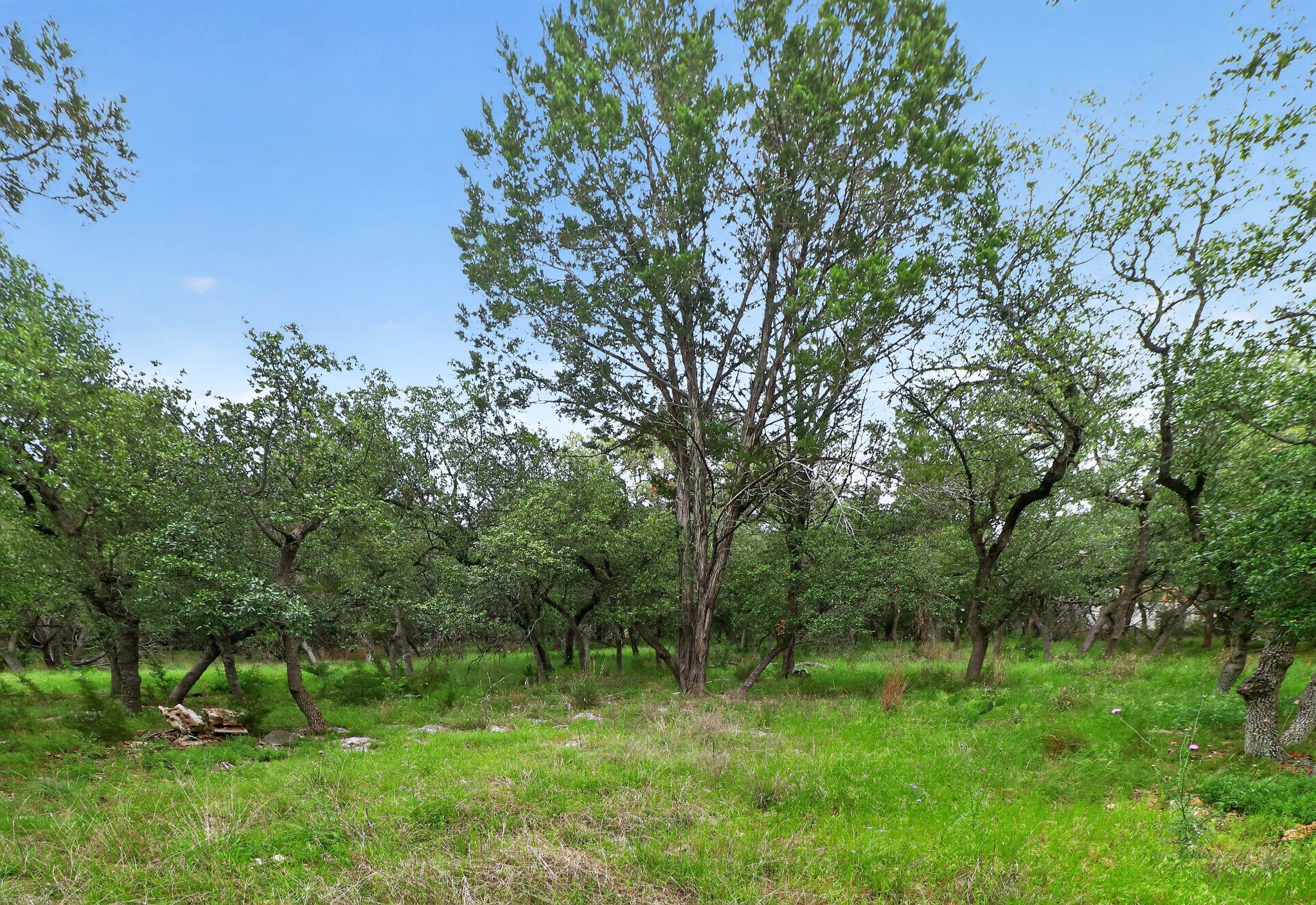 128 Mockingbird Ln, Georgetown, TX 78633