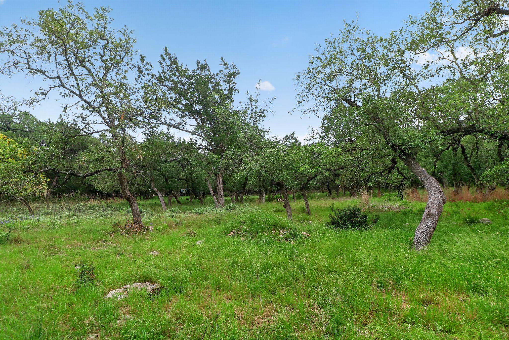 128 Mockingbird Ln, Georgetown, TX 78633