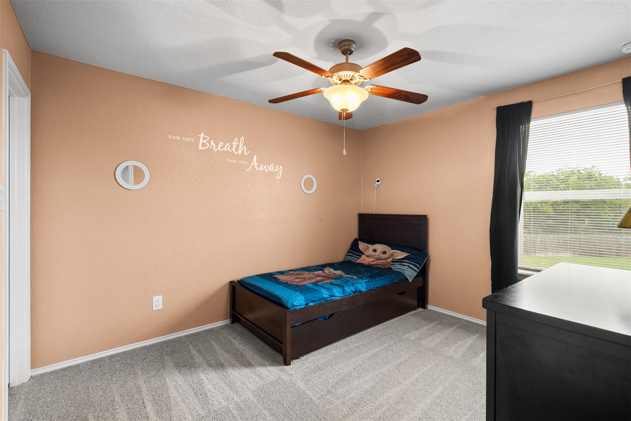 137 Barn Owl Loop, Leander, TX 78641