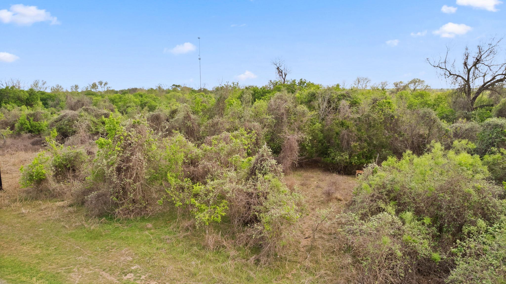 183 Kahana Ln, Bastrop, TX 78602