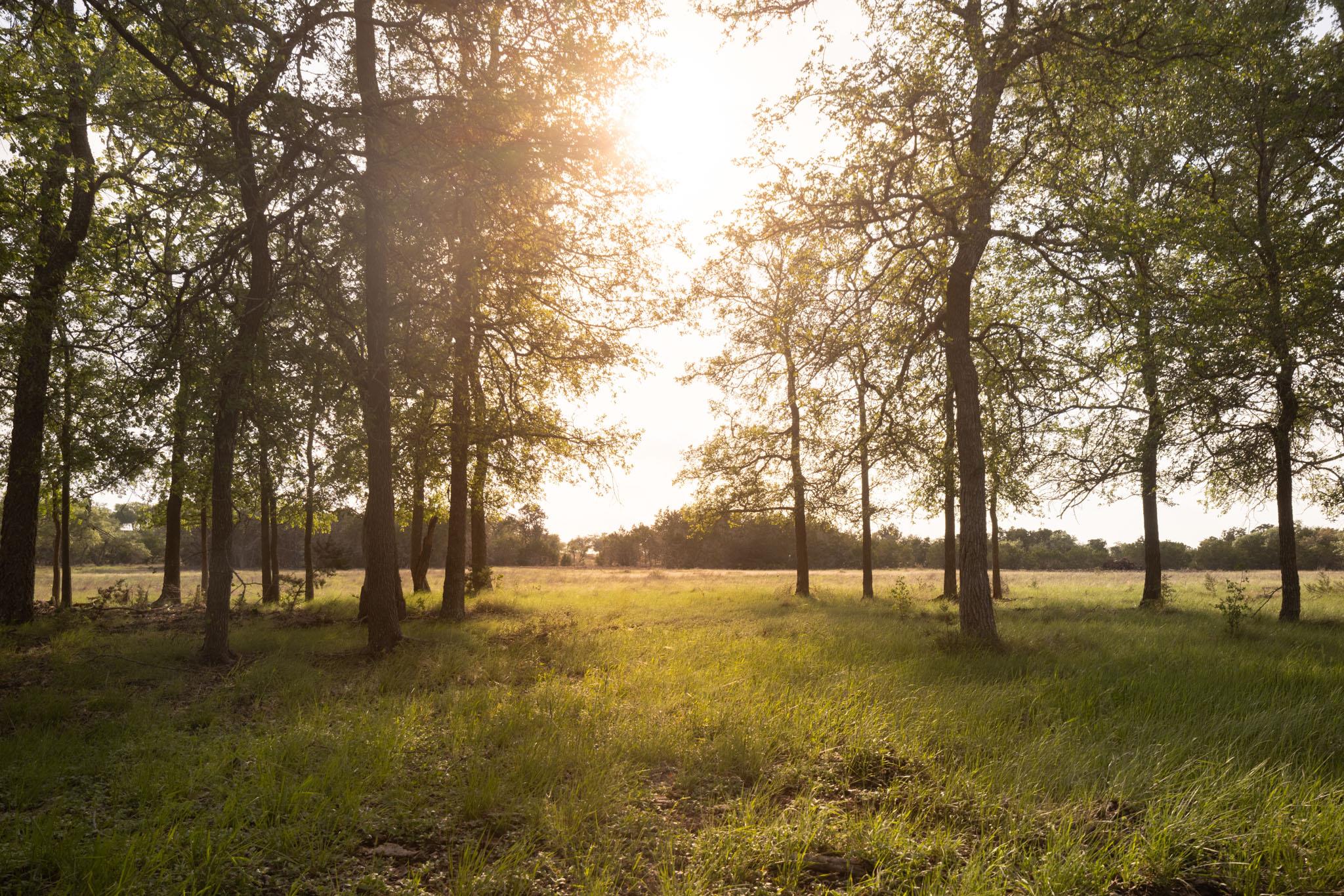 2609 Prochnow Rd, Dripping Springs, TX 78620