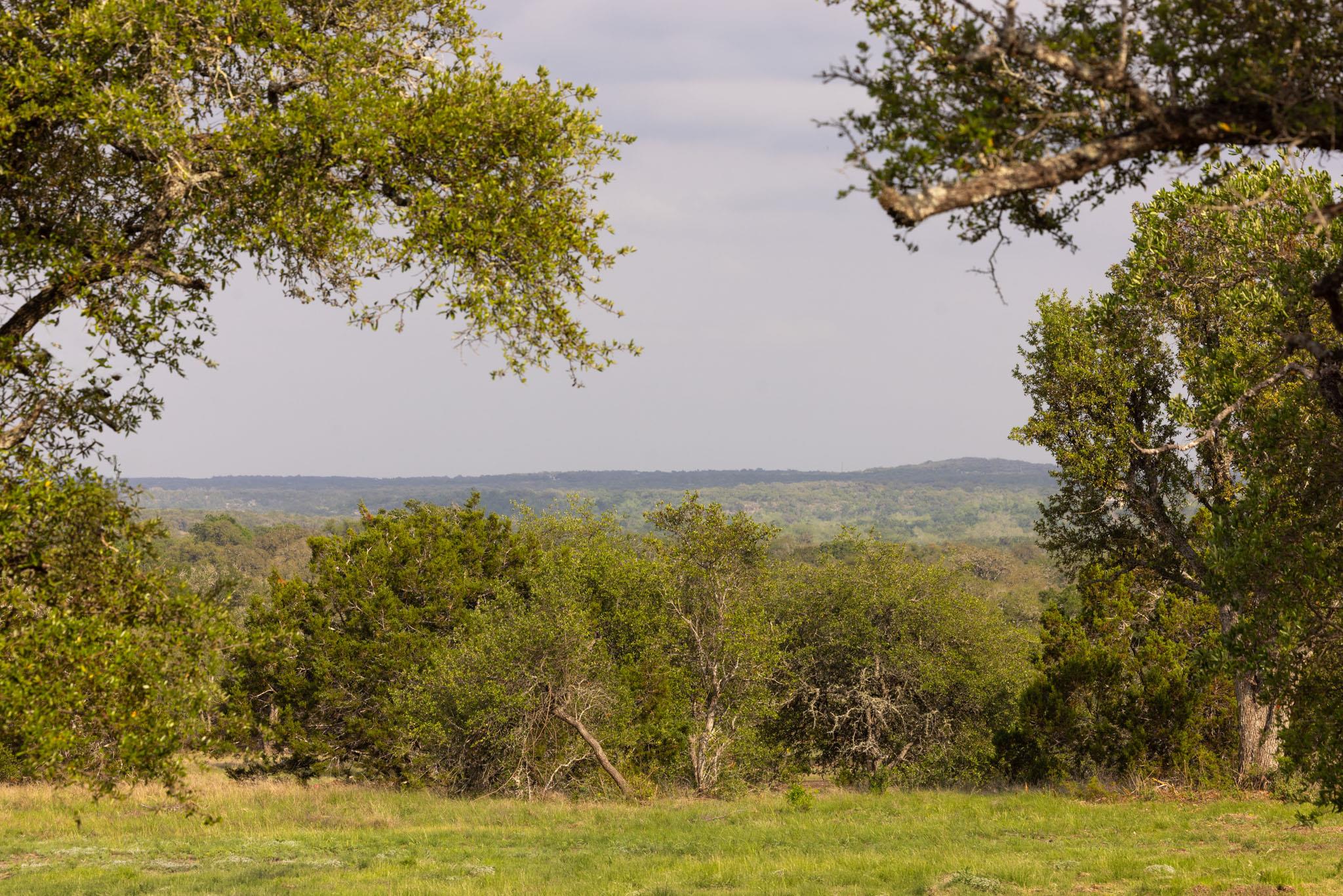 2609 Prochnow Rd, Dripping Springs, TX 78620