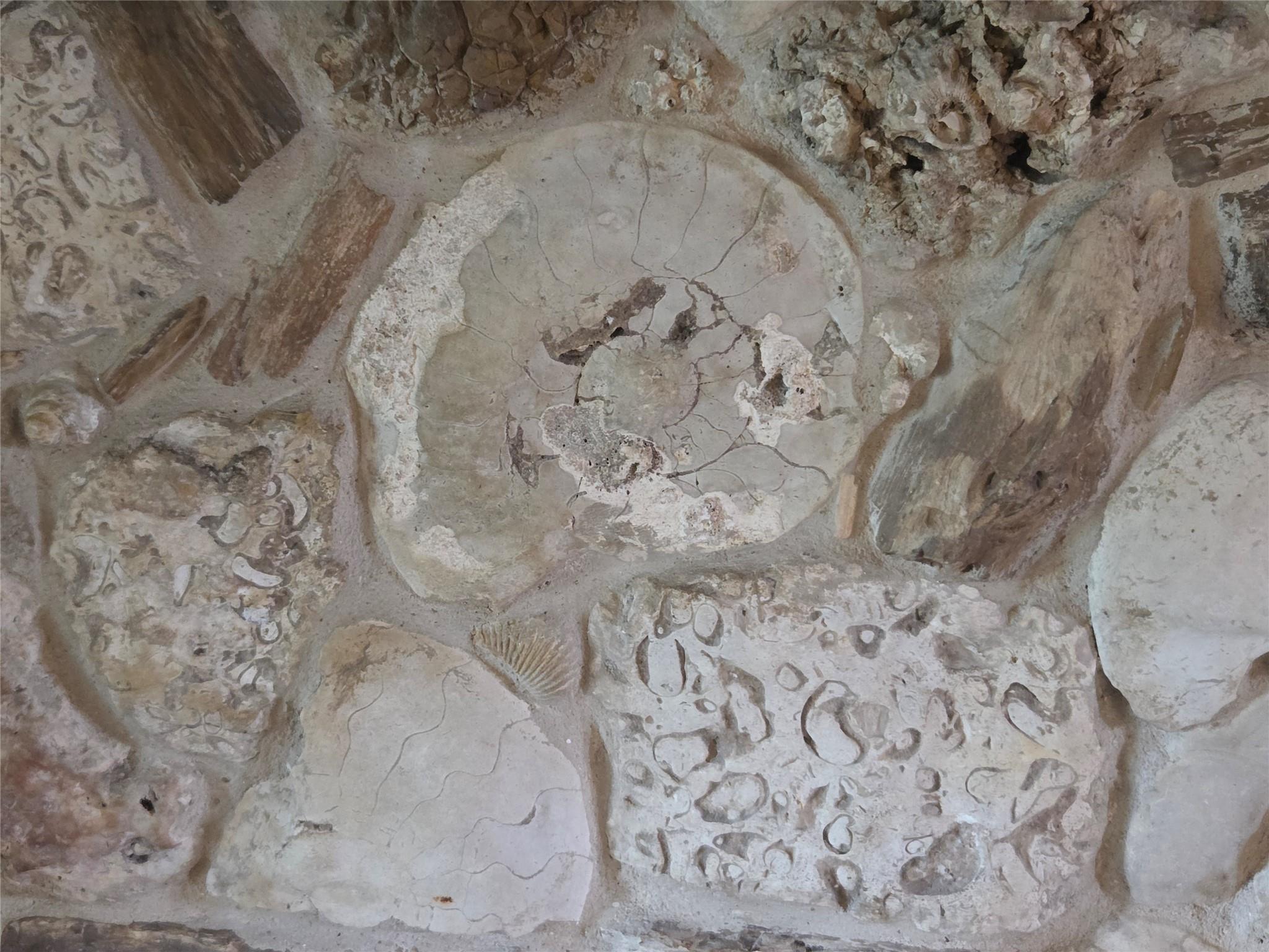 913 CR 237, Cameron, TX 76520