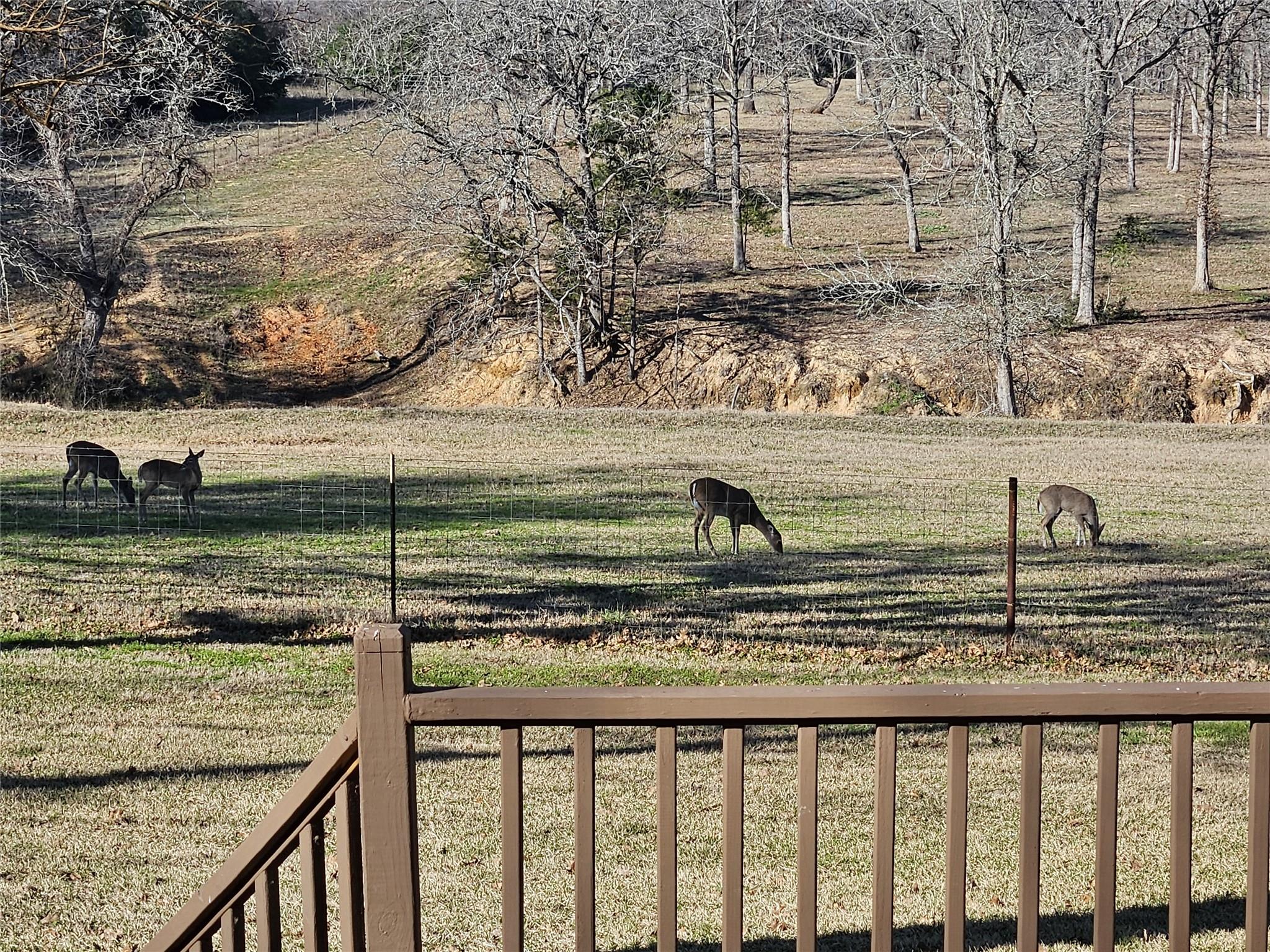 913 CR 237, Cameron, TX 76520