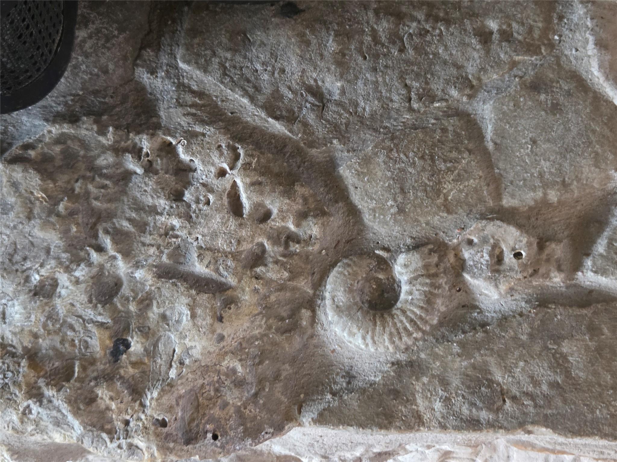 913 CR 237, Cameron, TX 76520