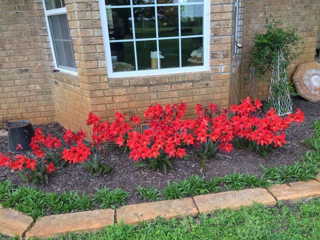 913 CR 237, Cameron, TX 76520