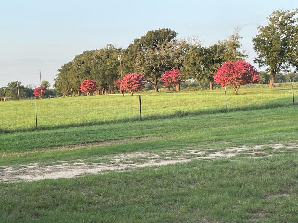 913 CR 237, Cameron, TX 76520