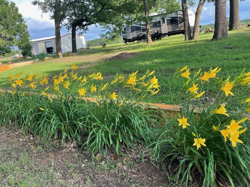 913 CR 237, Cameron, TX 76520