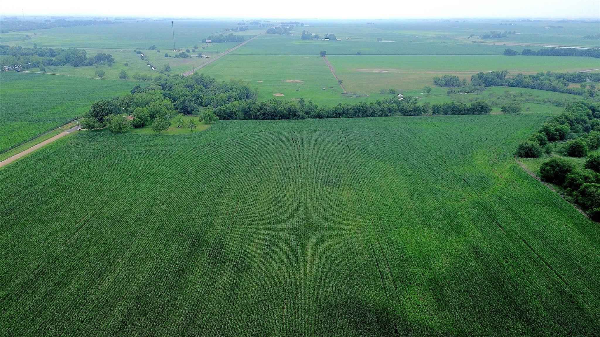 3501 County Road 409, Taylor, TX 76574