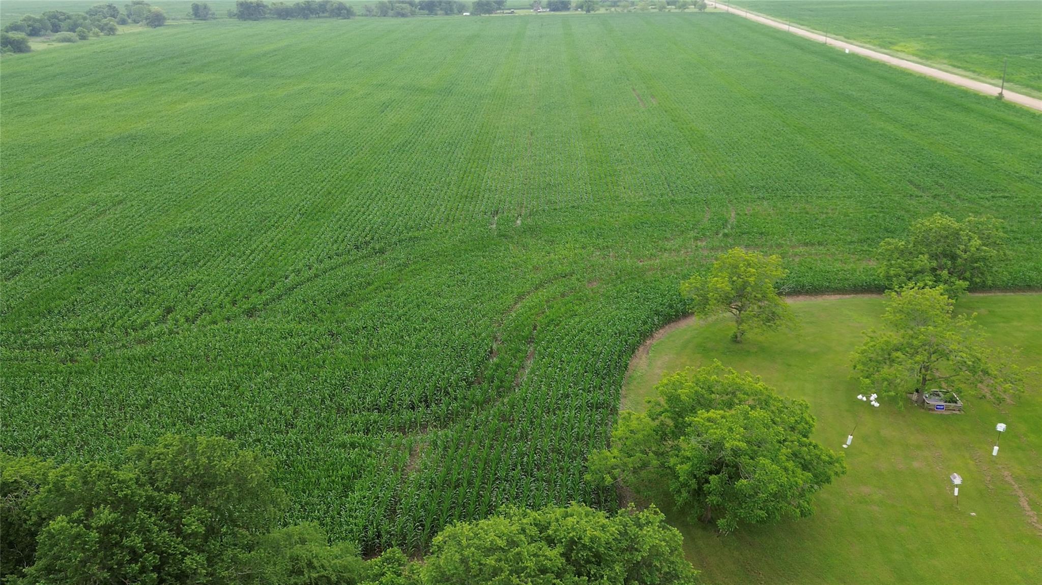 3501 County Road 409, Taylor, TX 76574