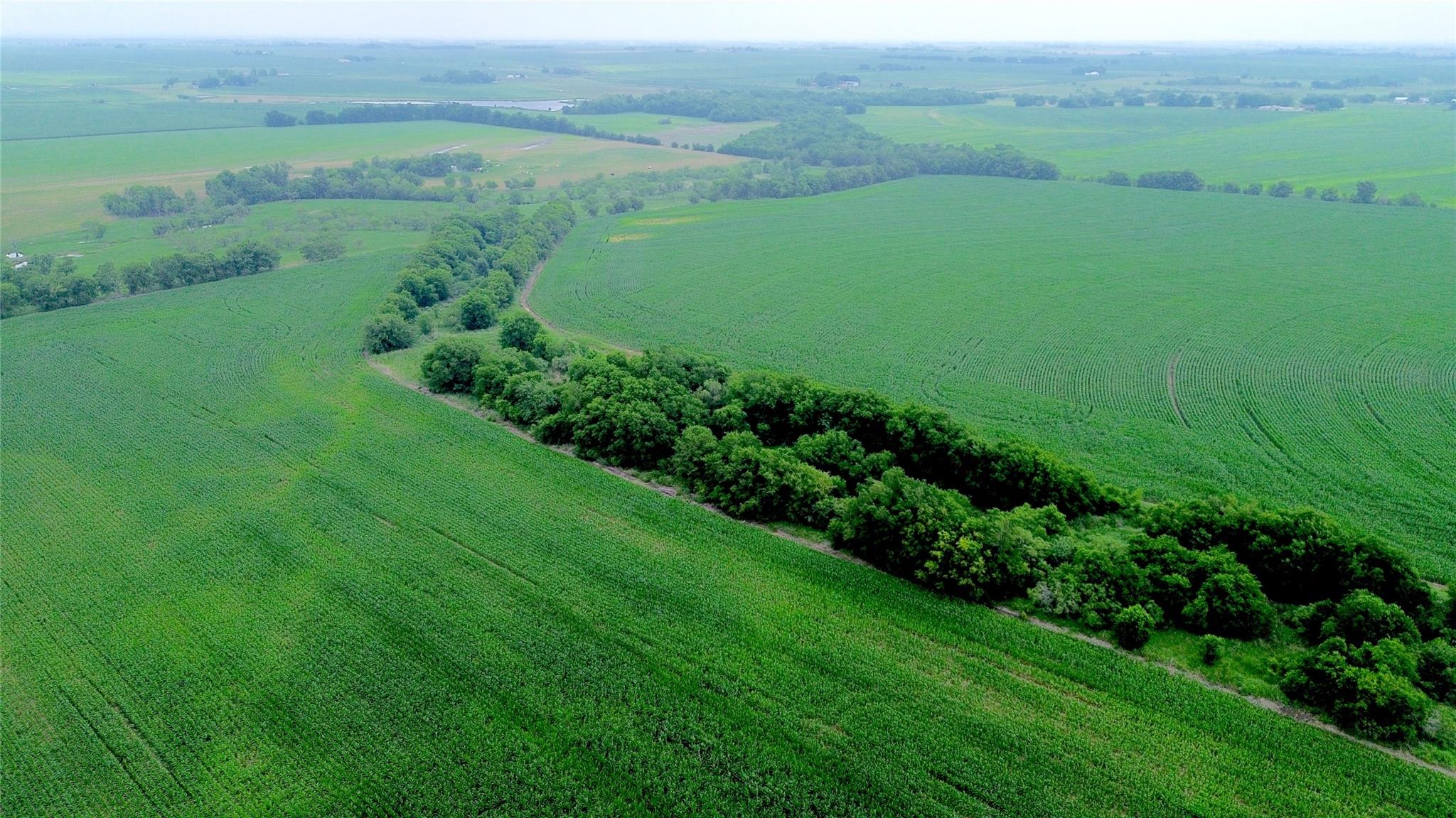 3501 County Road 409, Taylor, TX 76574