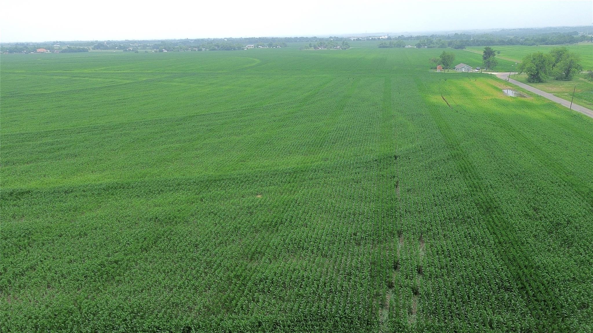 3501 County Road 409, Taylor, TX 76574