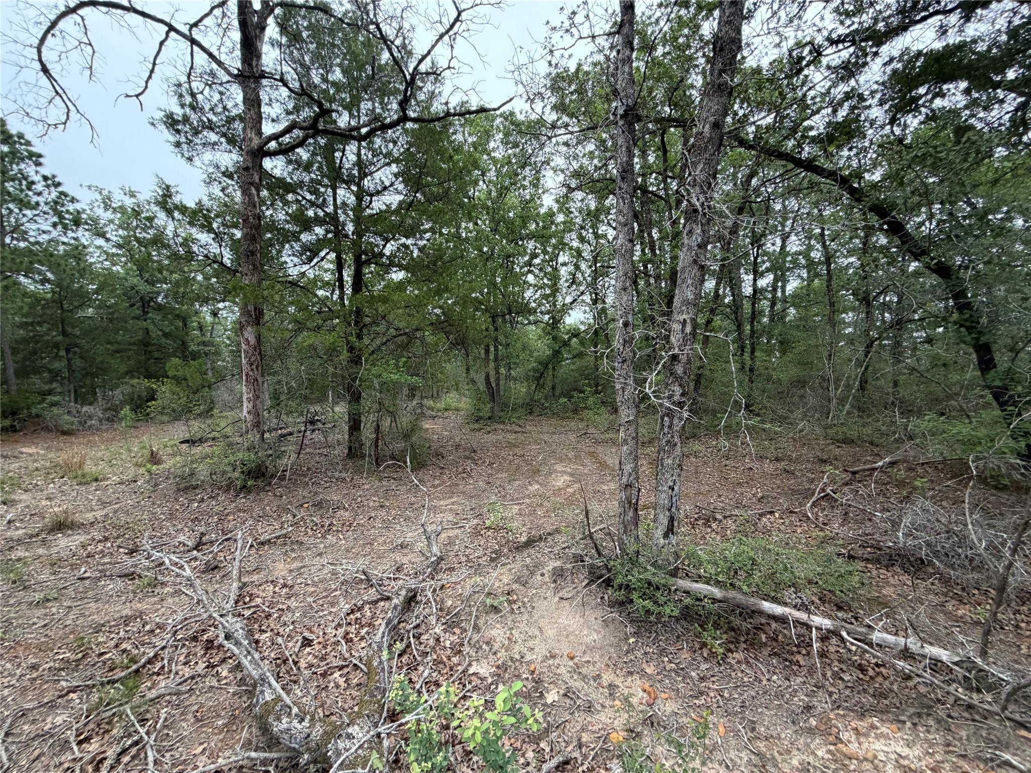Lot 17 Old Antioch Rd, Smithville, TX 78957