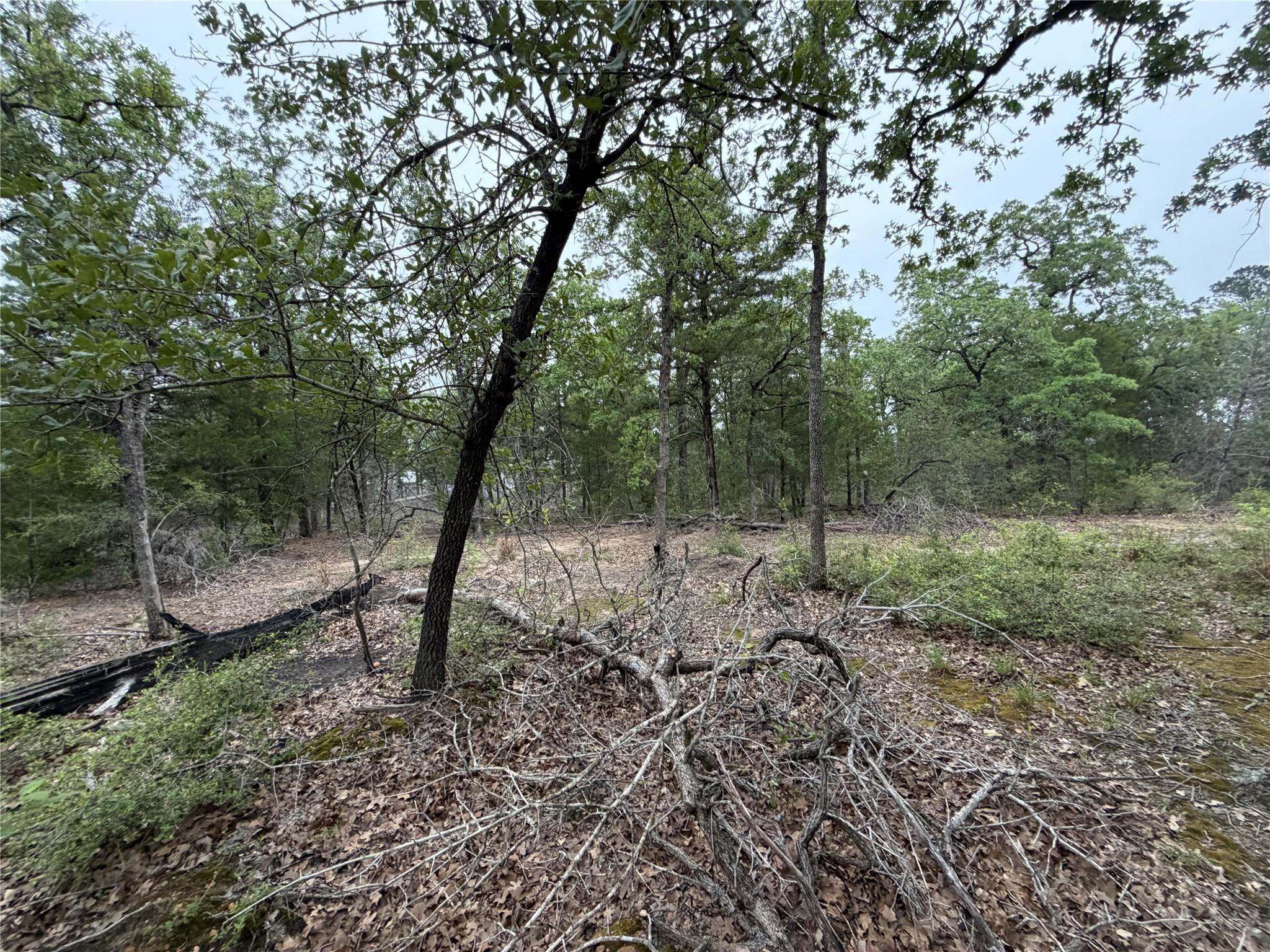 Lot 17 Old Antioch Rd, Smithville, TX 78957