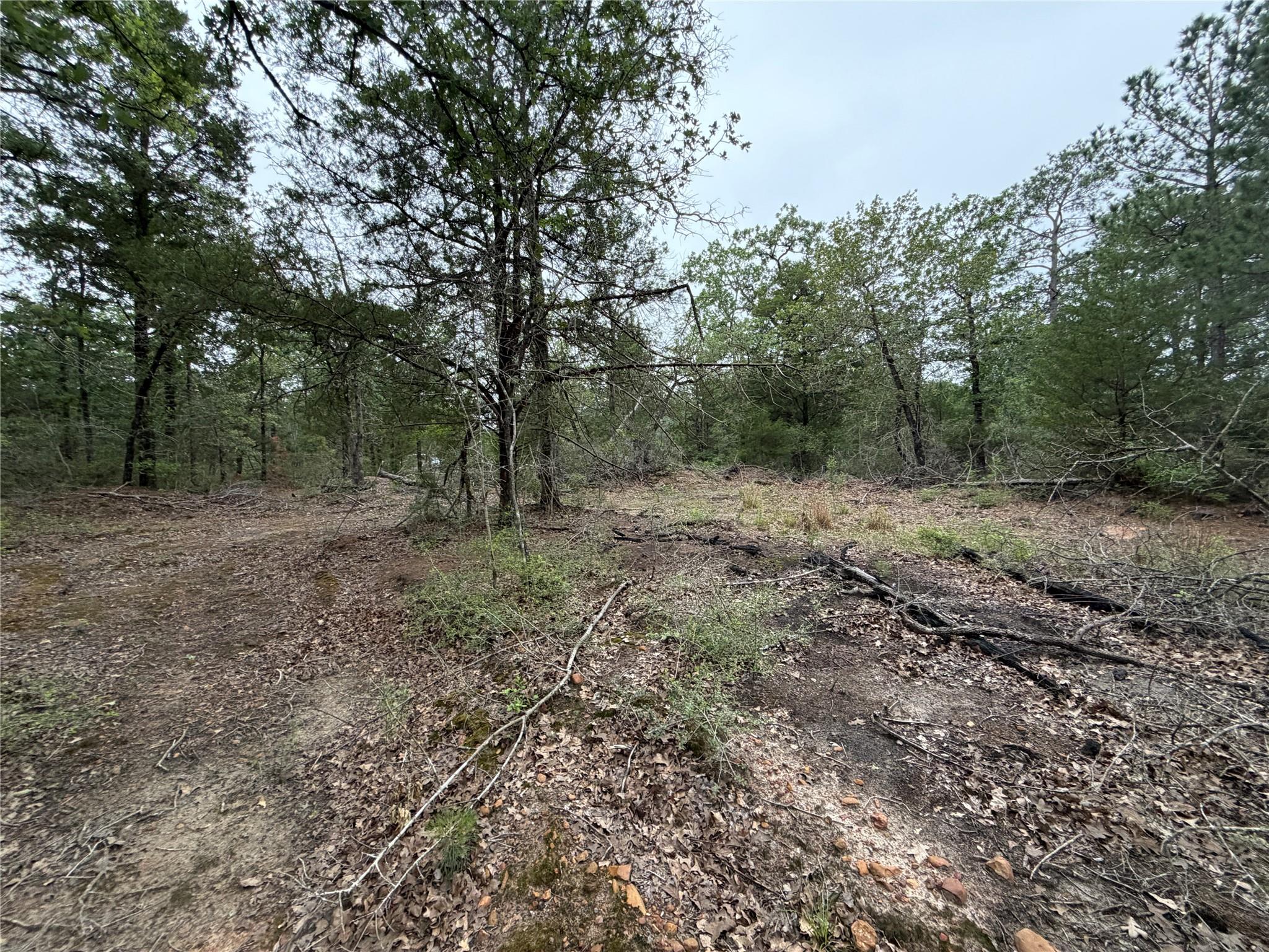 Lot 17 Old Antioch Rd, Smithville, TX 78957