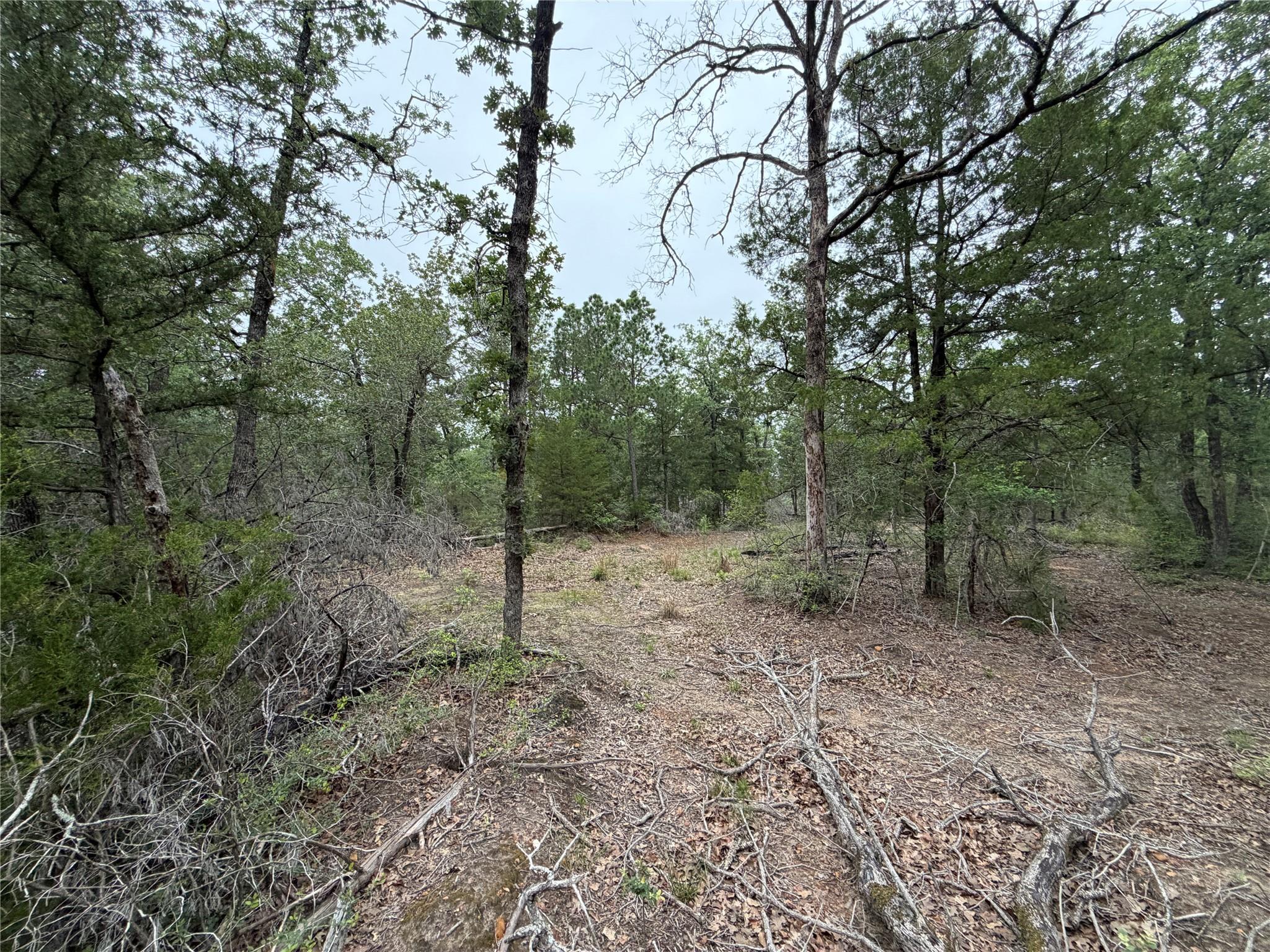 Lot 17 Old Antioch Rd, Smithville, TX 78957