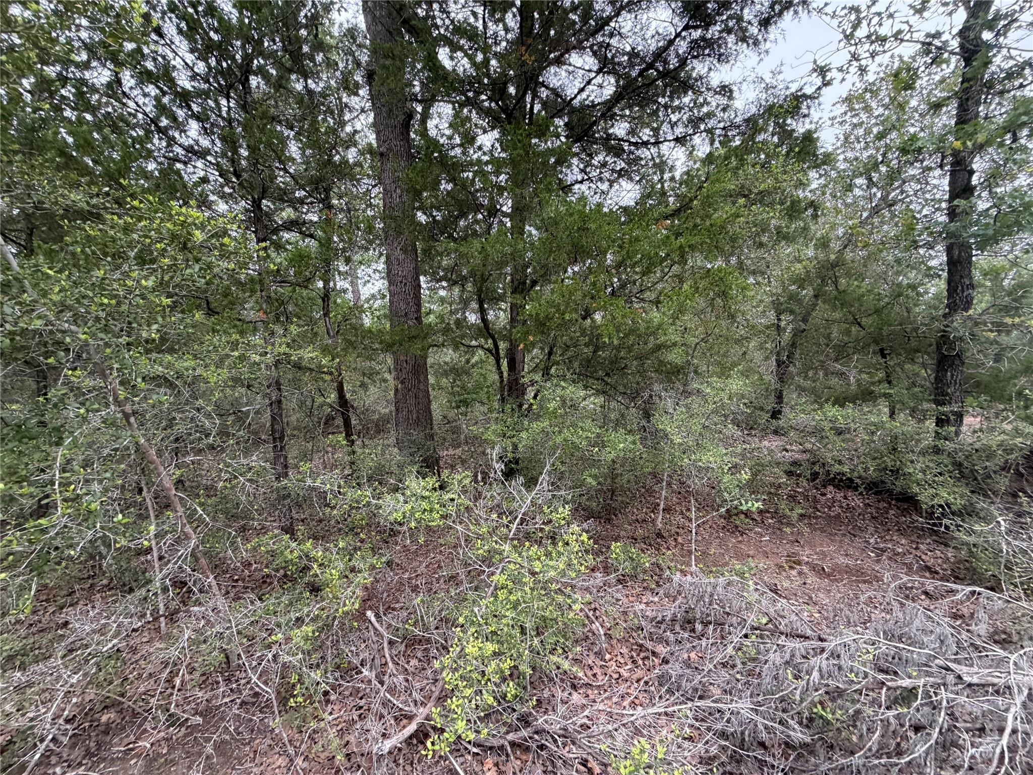 Lot 17 Old Antioch Rd, Smithville, TX 78957
