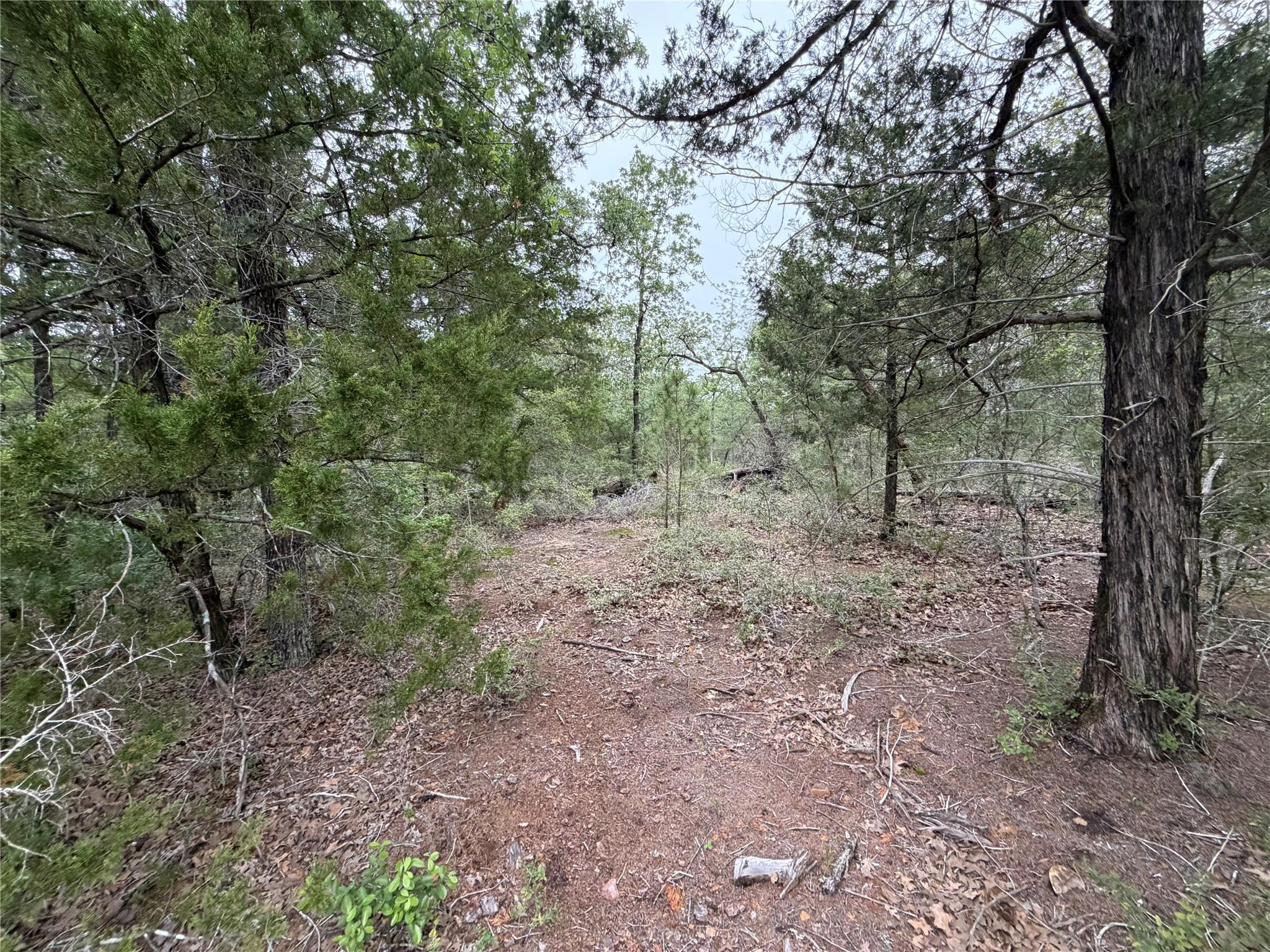 Lot 17 Old Antioch Rd, Smithville, TX 78957