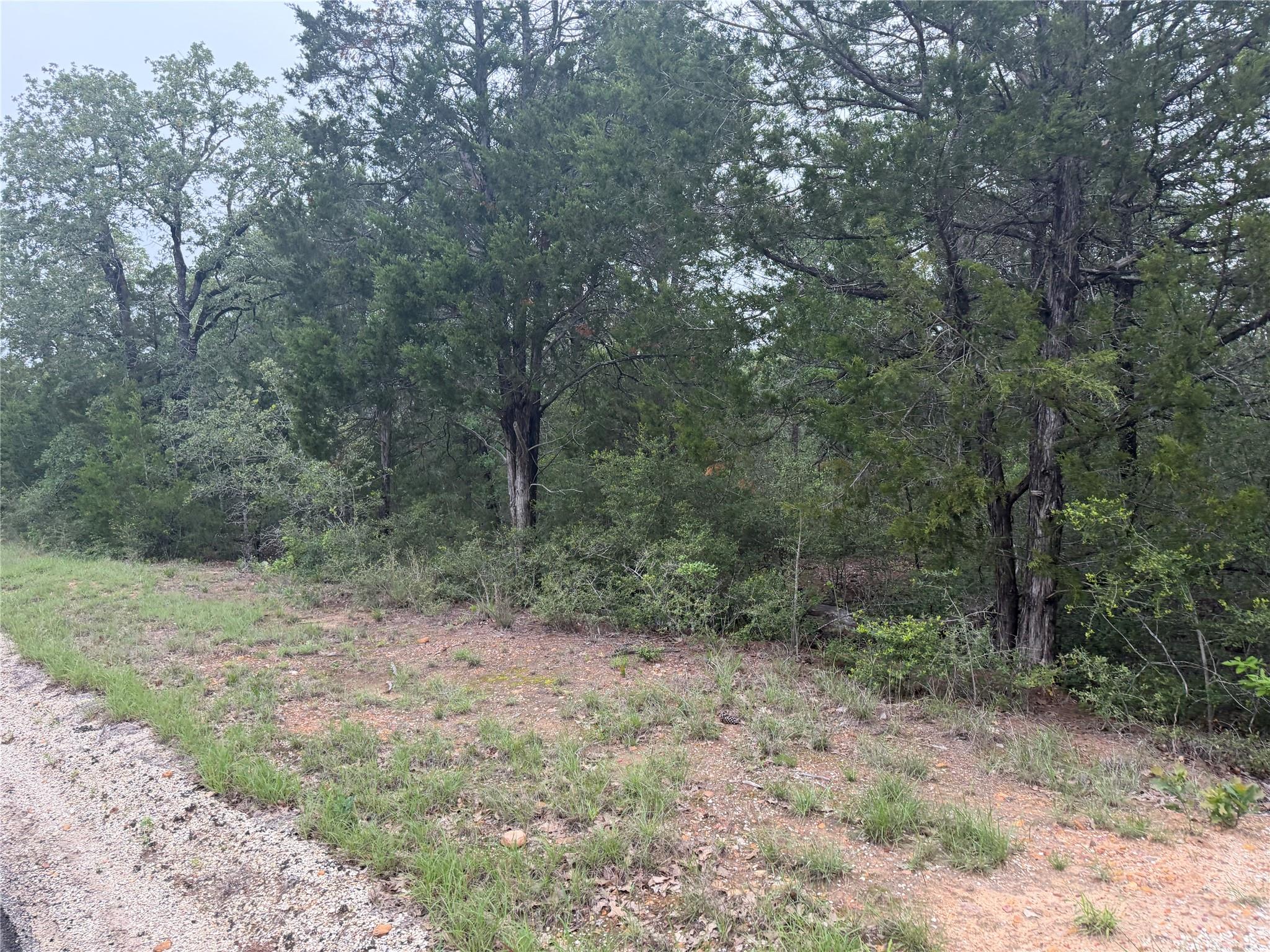 Lot 17 Old Antioch Rd, Smithville, TX 78957
