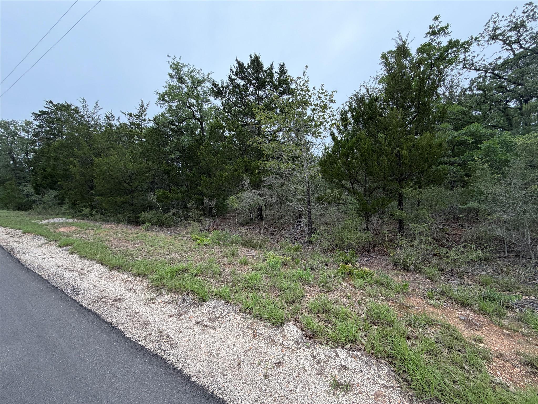 Lot 17 Old Antioch Rd, Smithville, TX 78957
