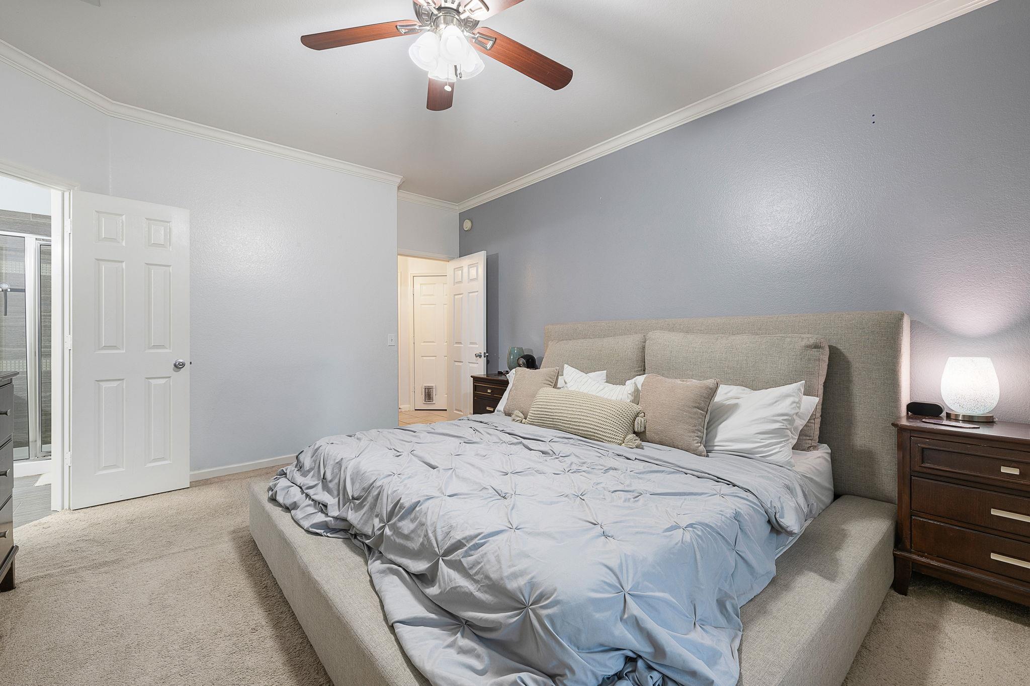 2244 Casper Cv, Round Rock, TX 78664