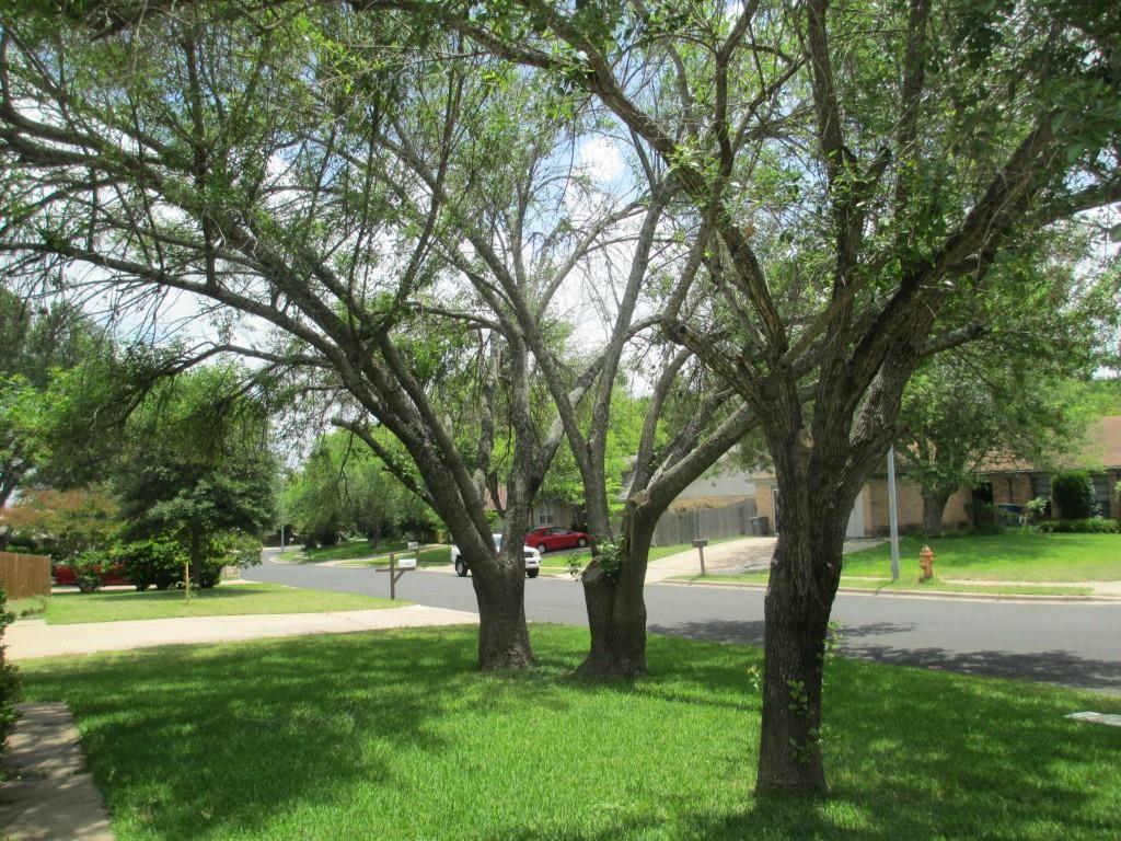 1214 Doonesbury Dr, Austin, TX 78758