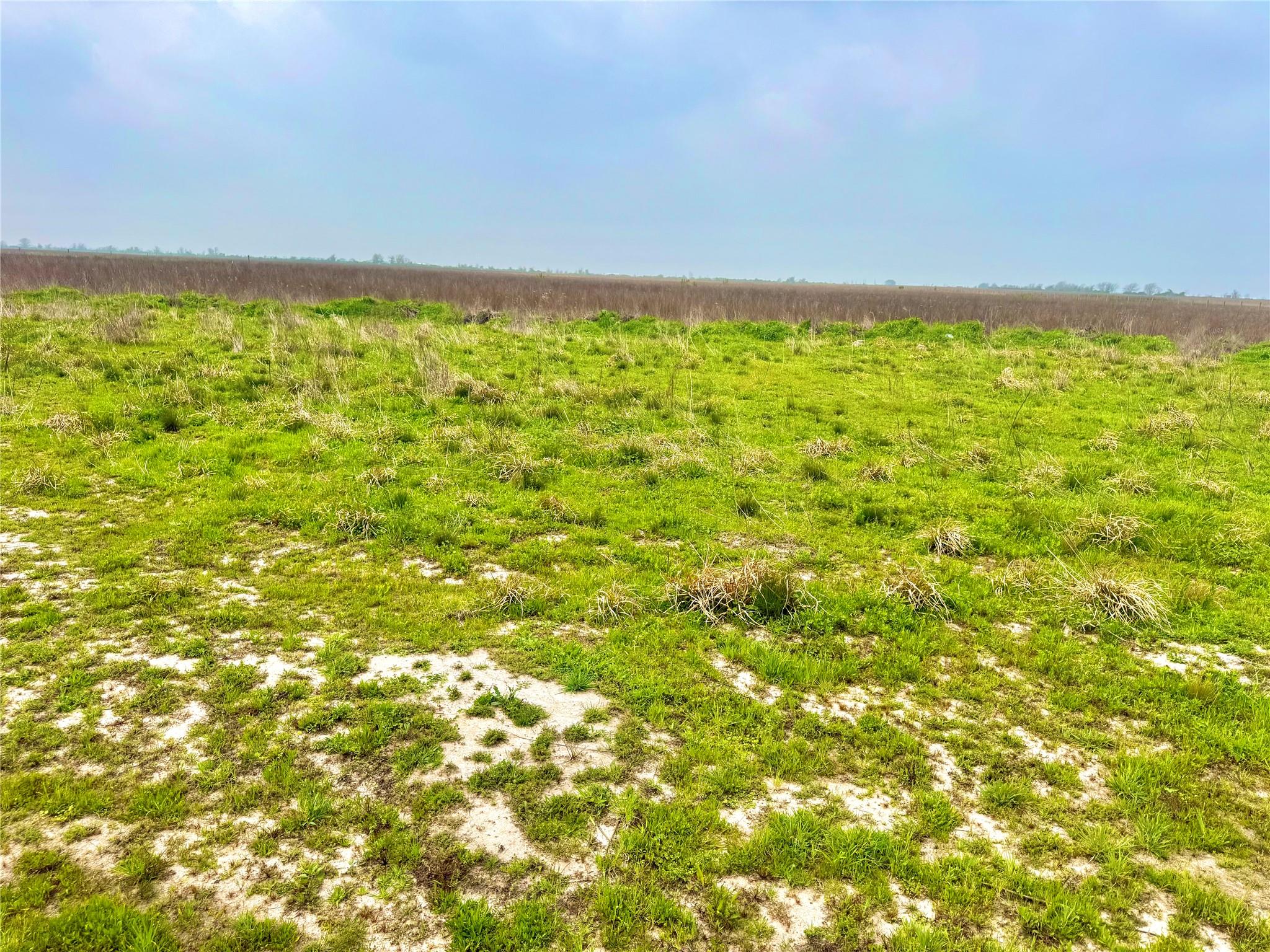 TBD tract 13 Beal Rd, Eagle Lake, TX 77434