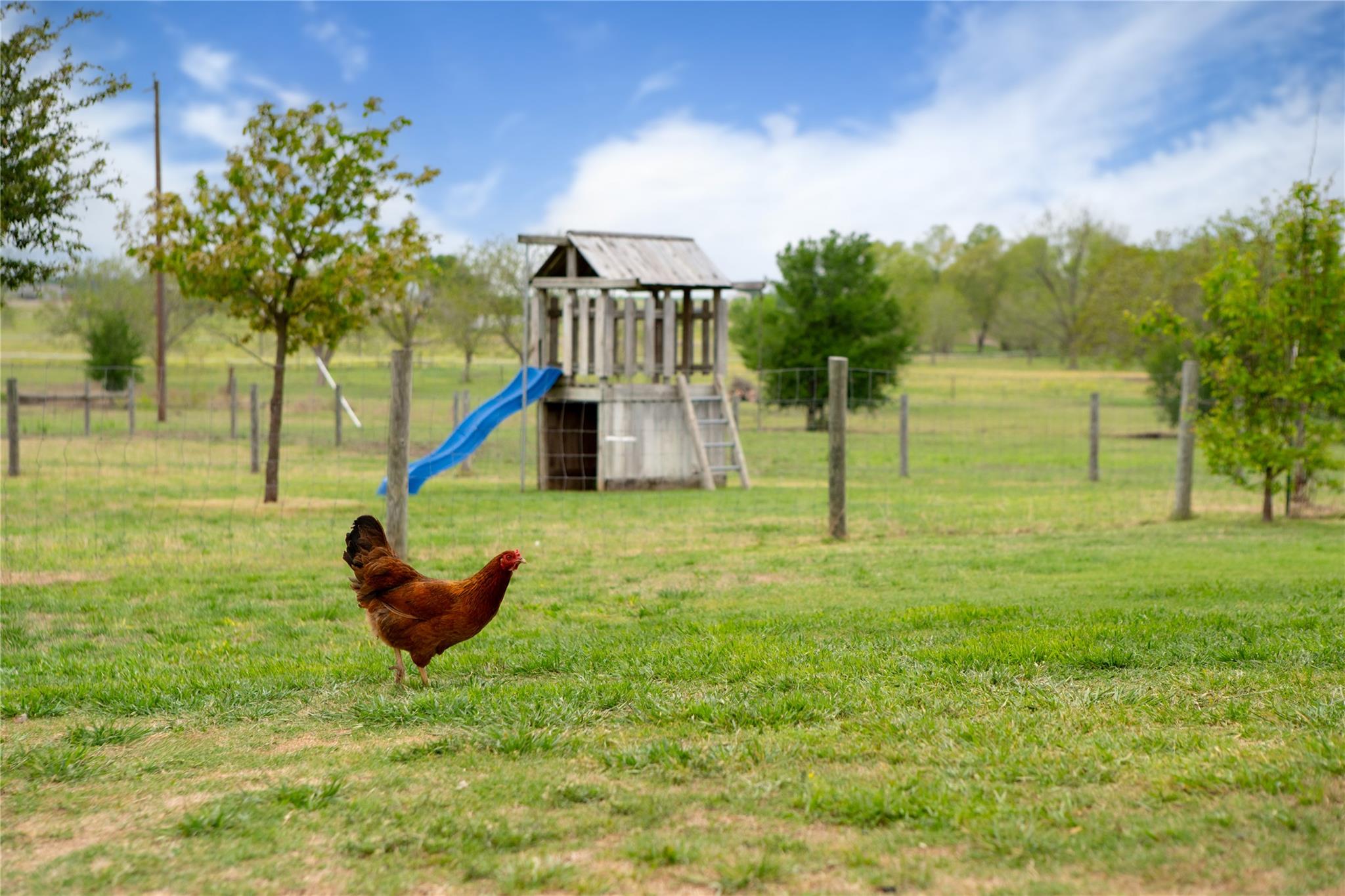 1854 County Road 464, Elgin, TX 78621