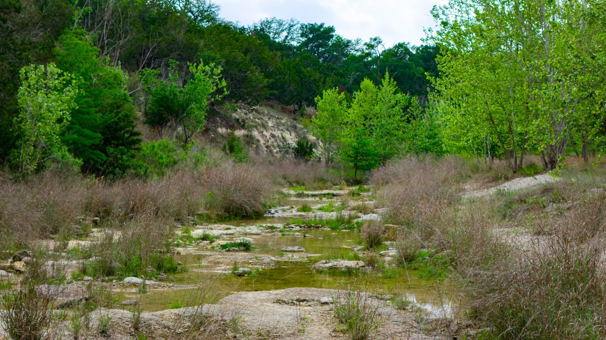 810 Clear Creek Ln, Fredericksburg, TX 78624