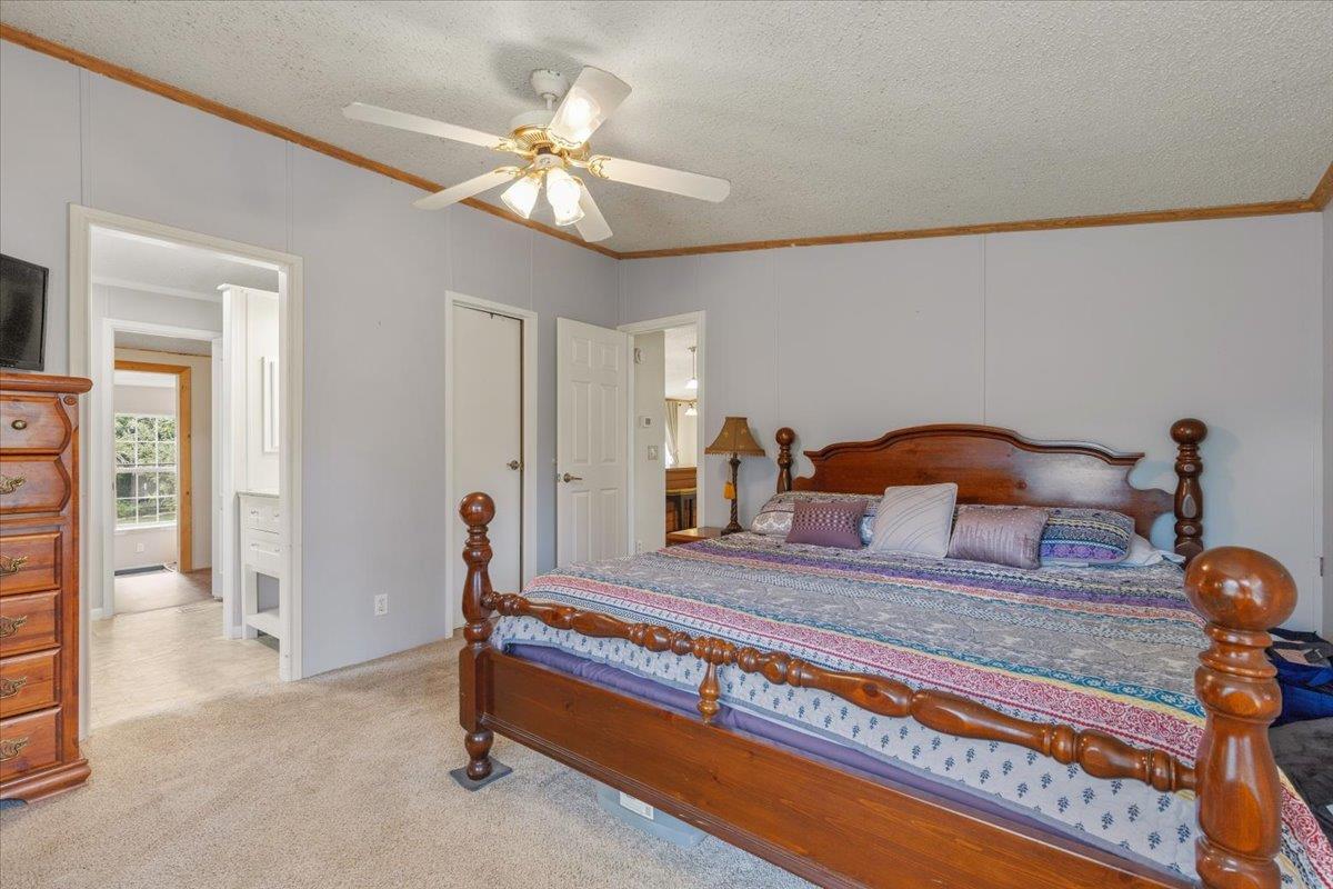 3122 River Rd, Cedar Creek, TX 78612