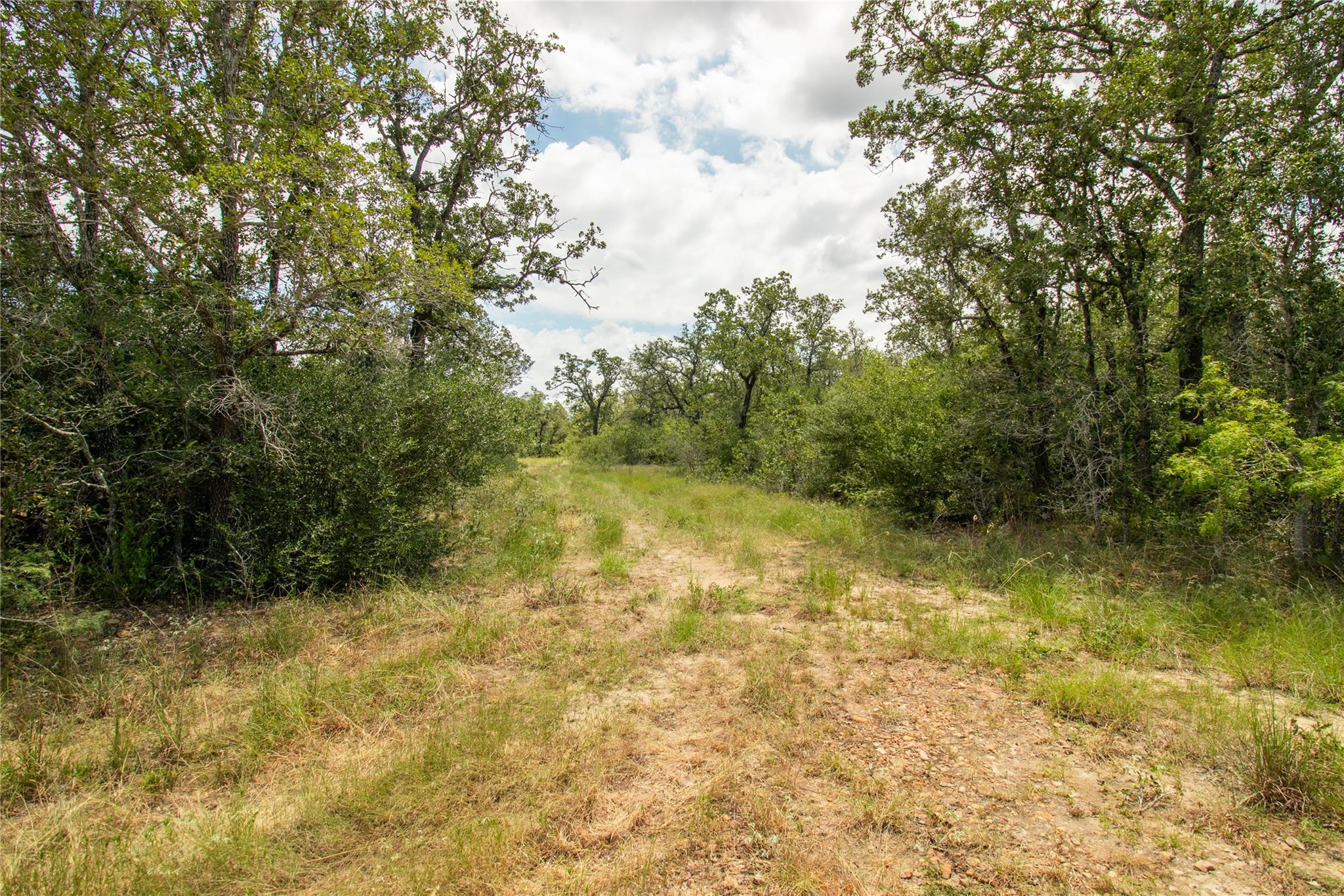 9057 Sycamore Shade Ln, Kingsbury, TX 78155
