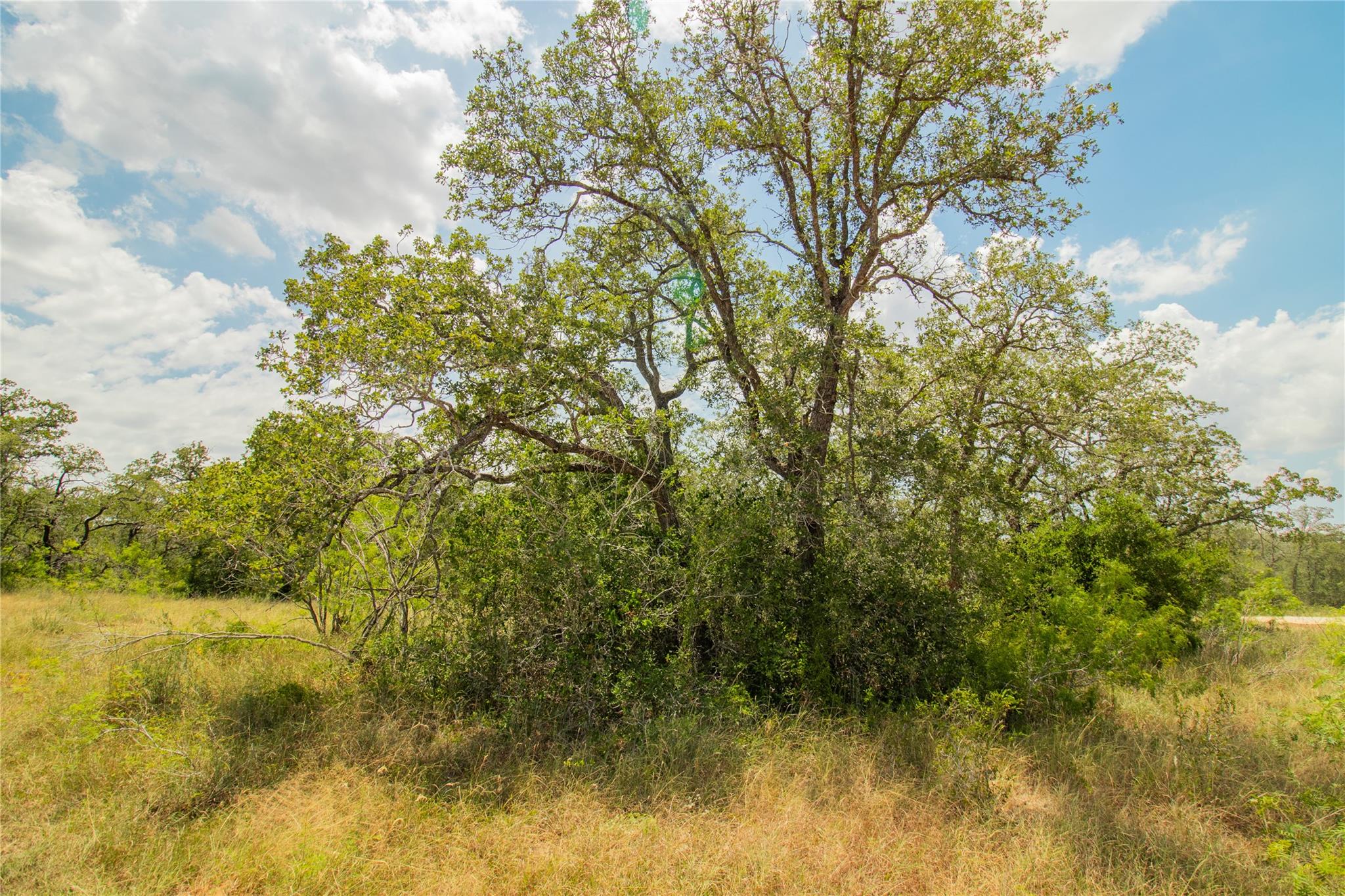 9057 Sycamore Shade Ln, Kingsbury, TX 78155