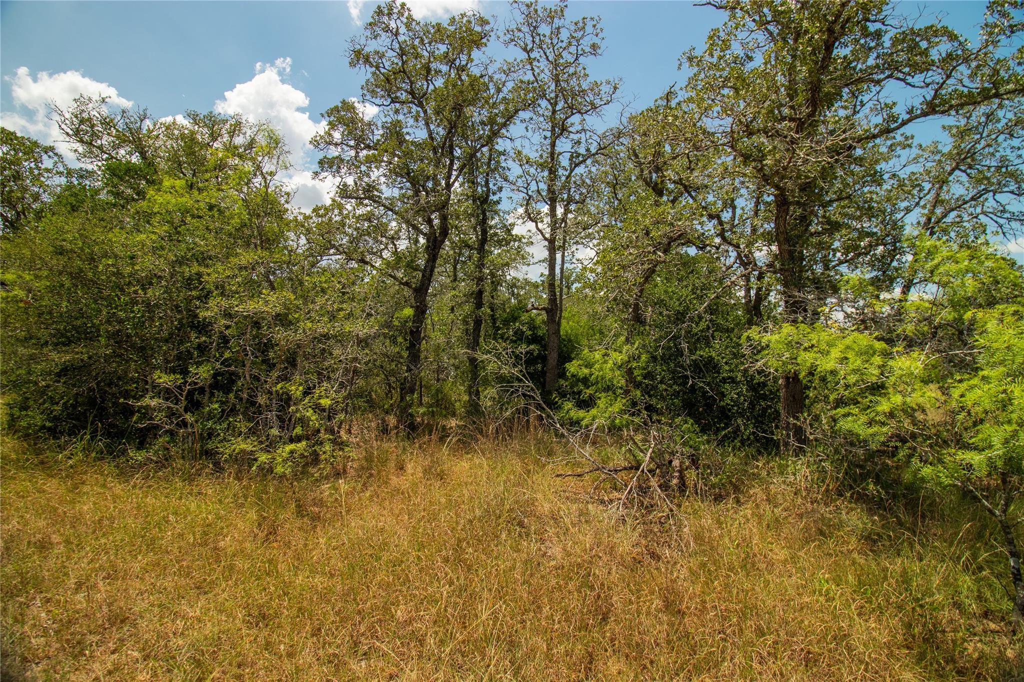 9057 Sycamore Shade Ln, Kingsbury, TX 78155
