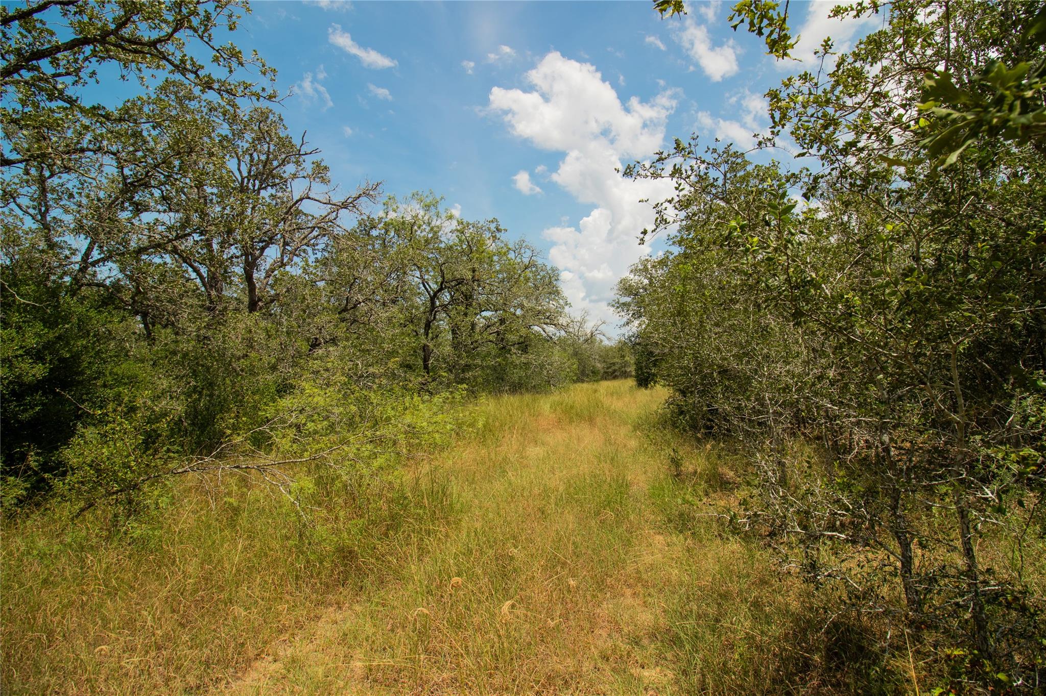 9057 Sycamore Shade Ln, Kingsbury, TX 78155