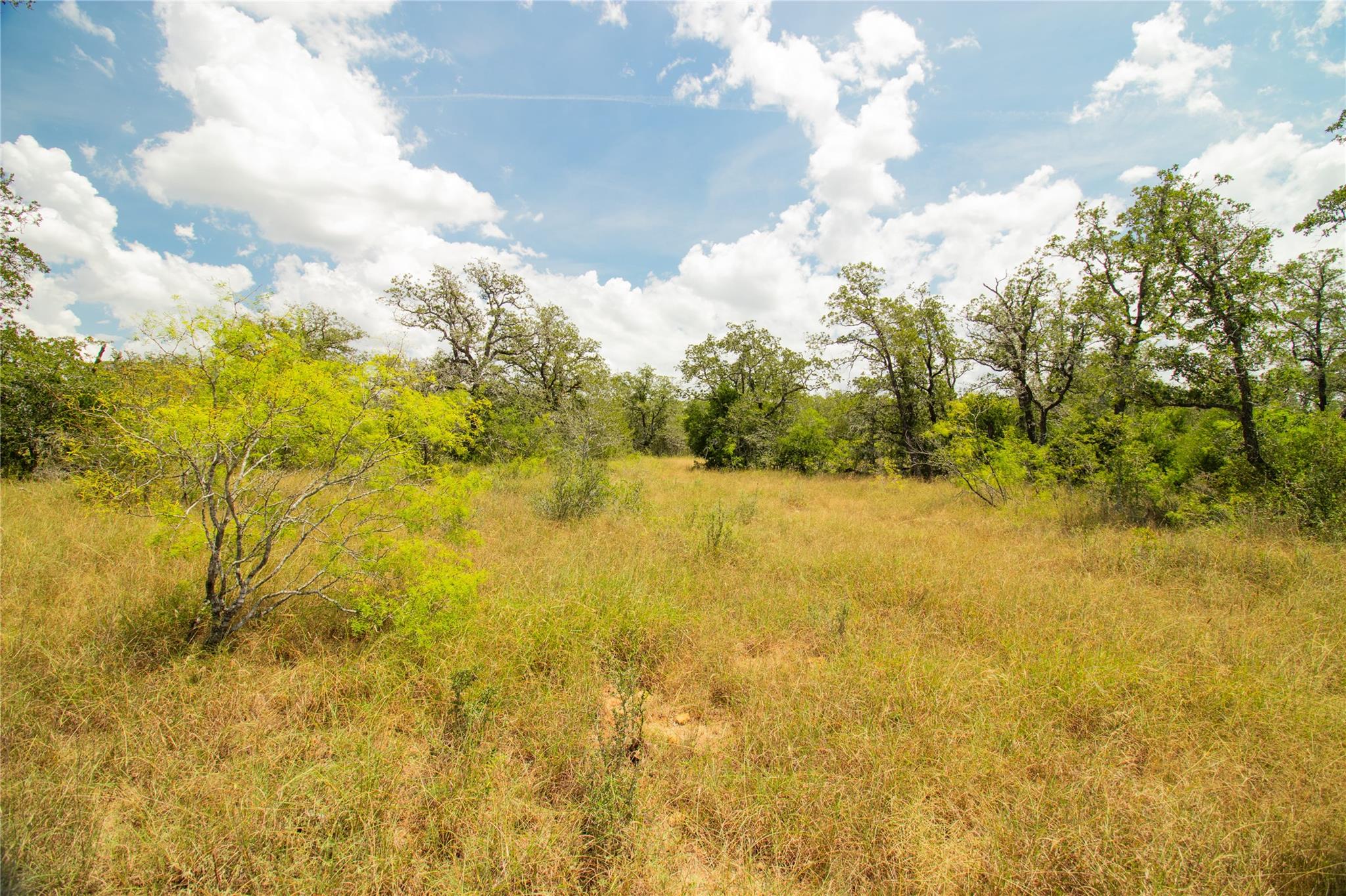 9057 Sycamore Shade Ln, Kingsbury, TX 78155