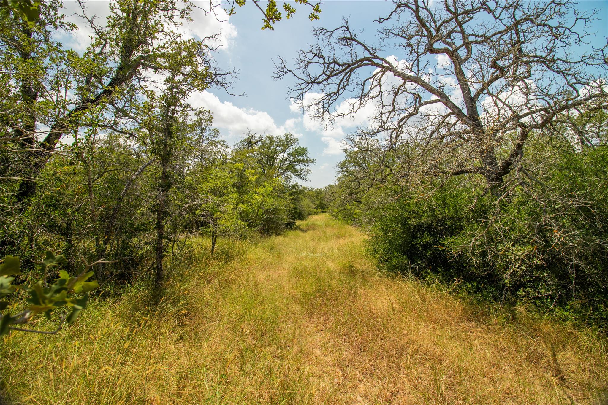 9057 Sycamore Shade Ln, Kingsbury, TX 78155